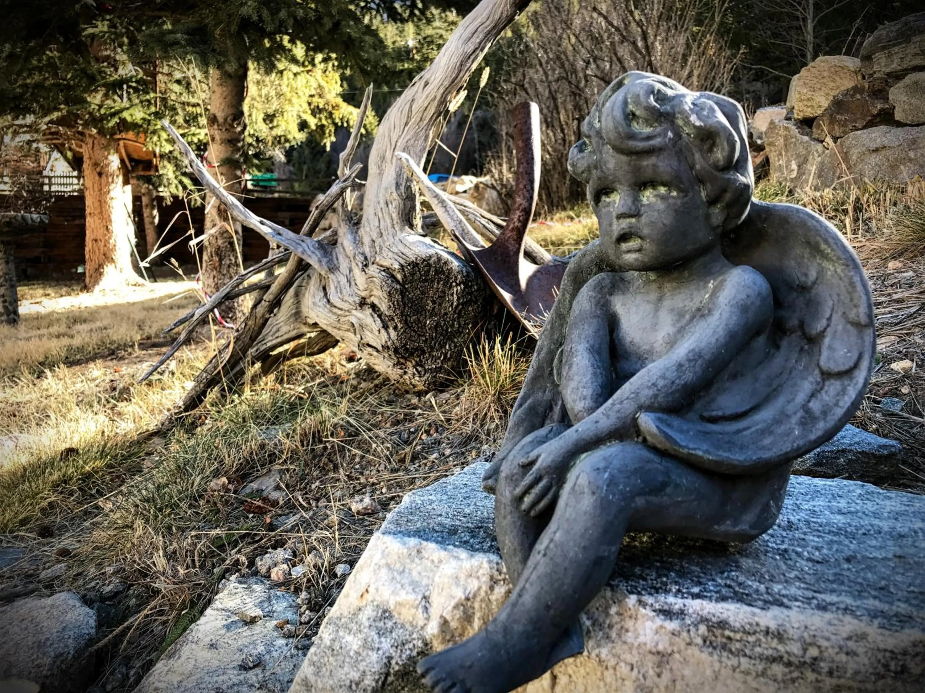 Garden in Rose Street Bed & Breakfast