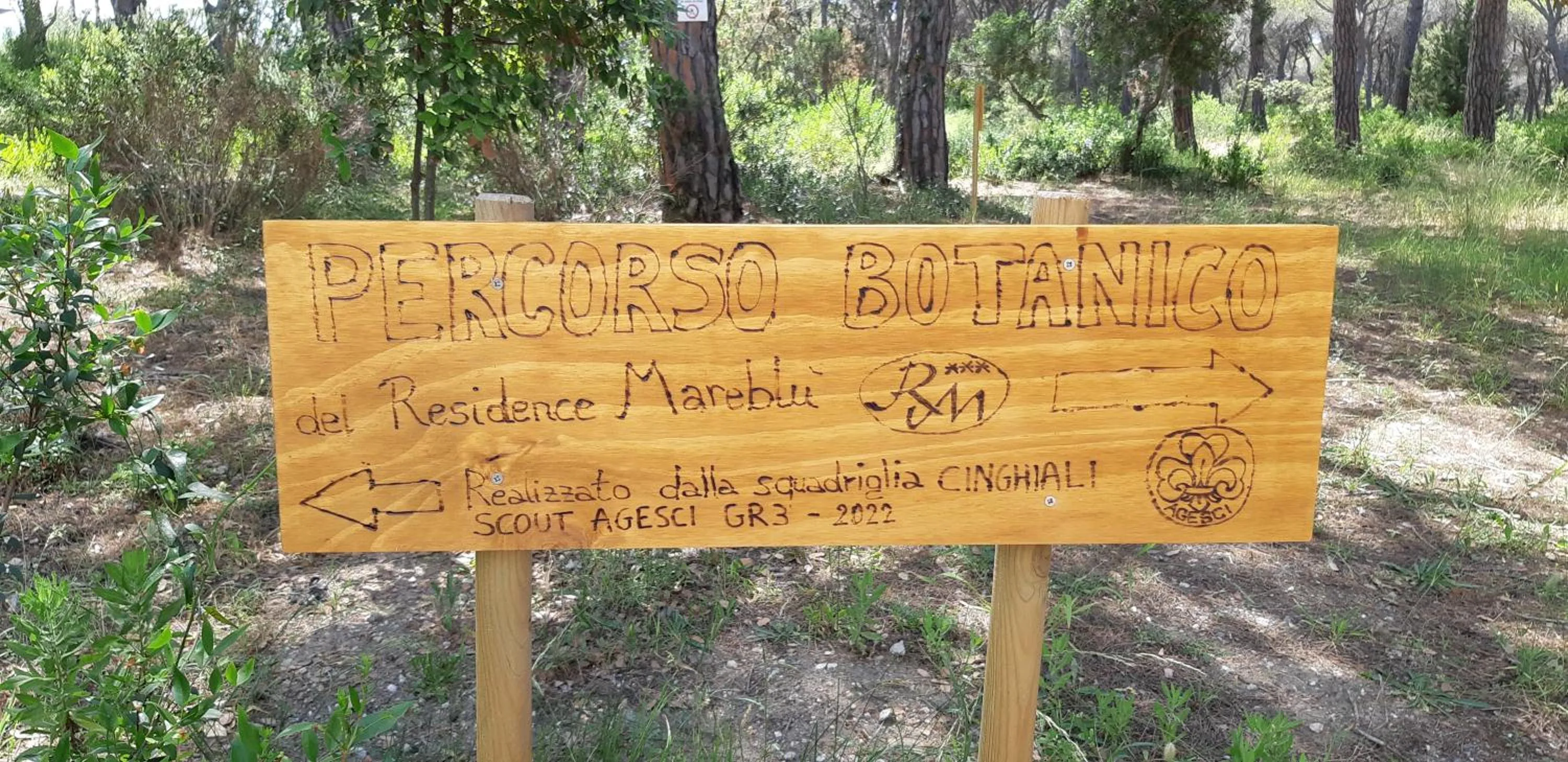 Activities in Mareblù - Tuscany Green Aparthotel