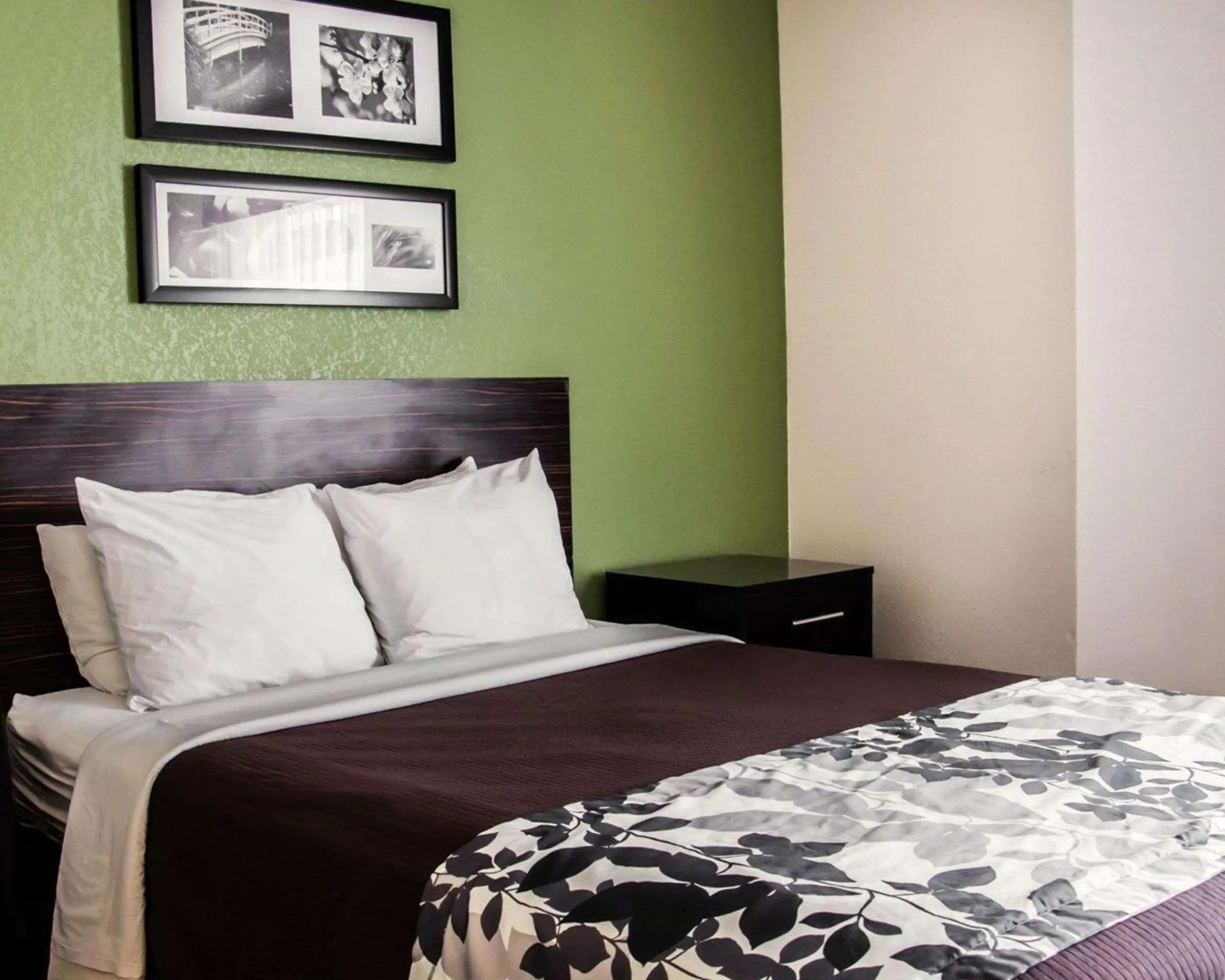 Photo of the whole room, Bed in Sleep Inn Concord - Kannapolis