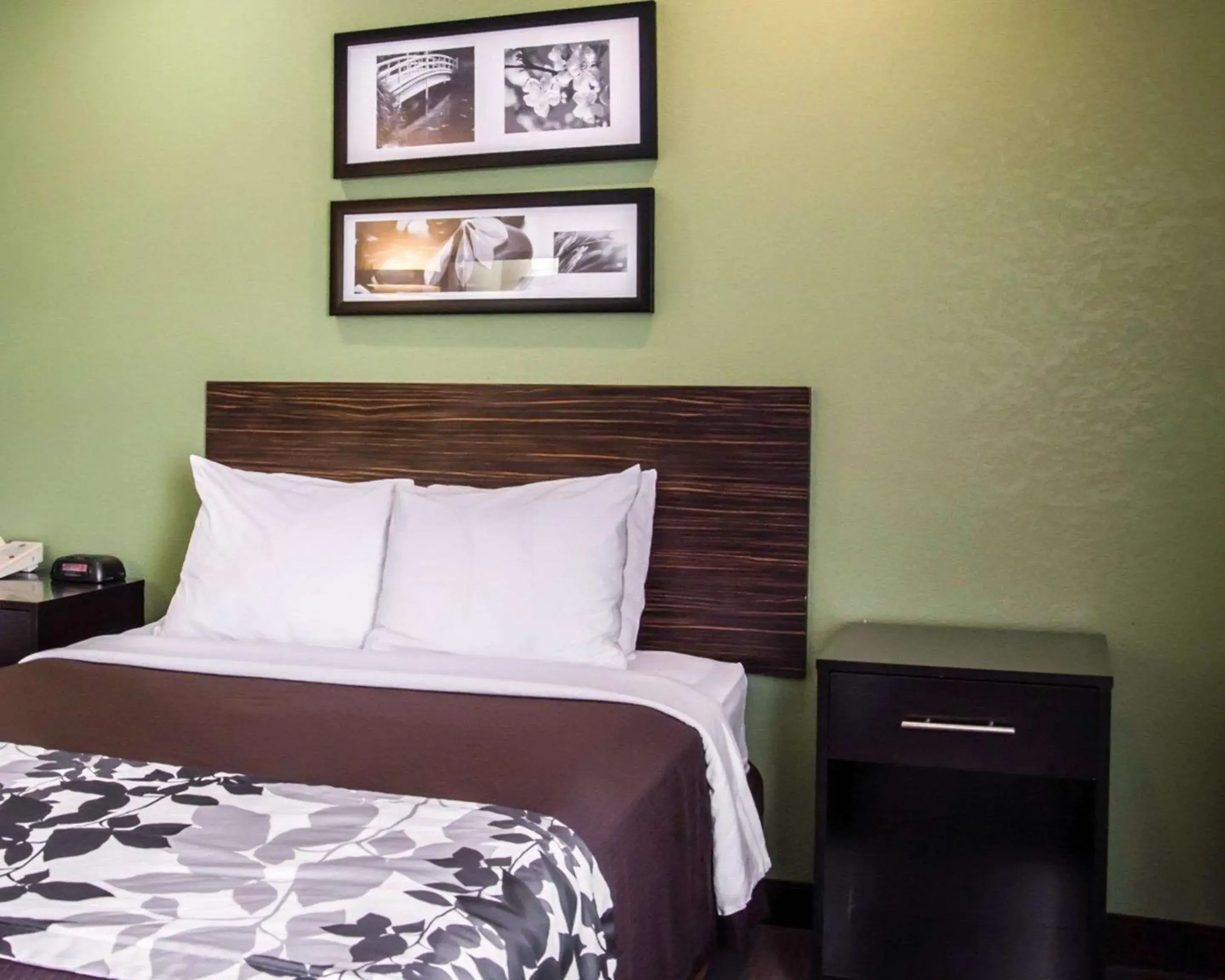 Photo of the whole room, Bed in Sleep Inn Concord - Kannapolis Photo of the whole room, Bed in Sleep Inn Concord - Kannapolis