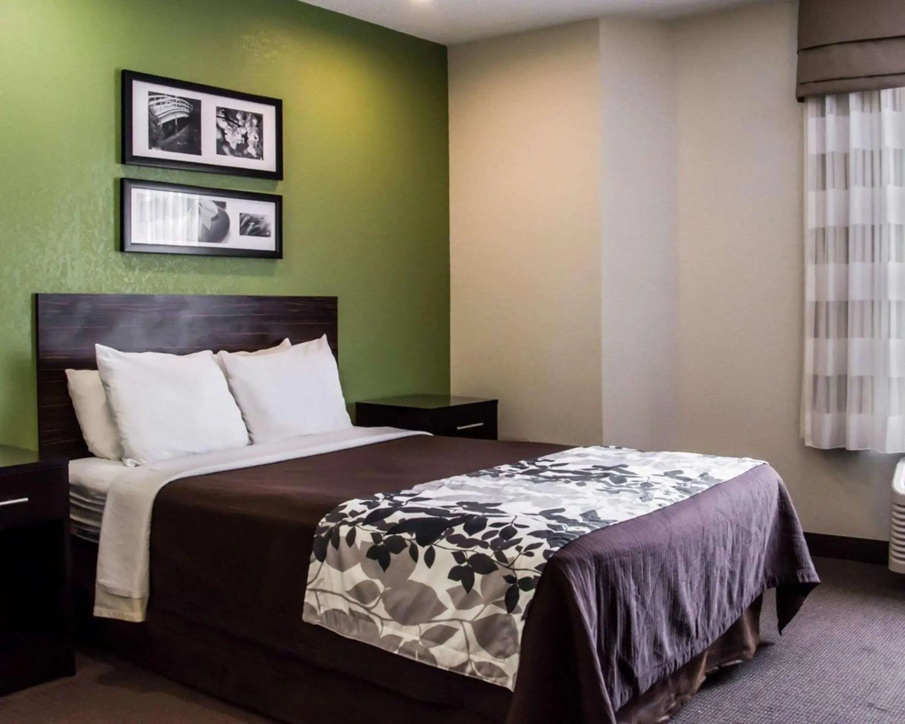 Photo of the whole room, Bed in Sleep Inn Concord - Kannapolis Photo of the whole room, Bed in Sleep Inn Concord - Kannapolis