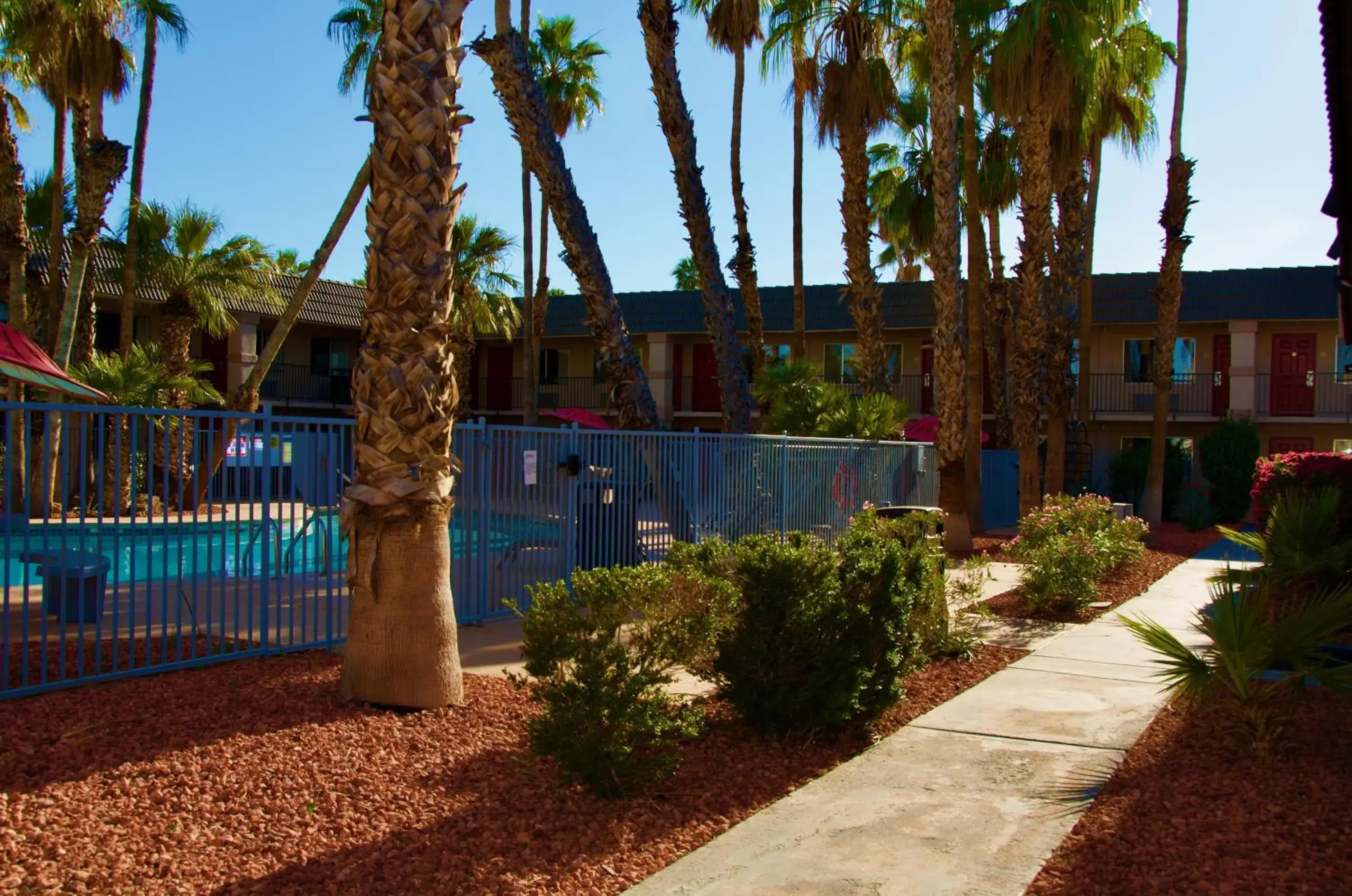 Swimming pool in Ramada by Wyndham Yuma Swimming pool in Ramada by Wyndham Yuma