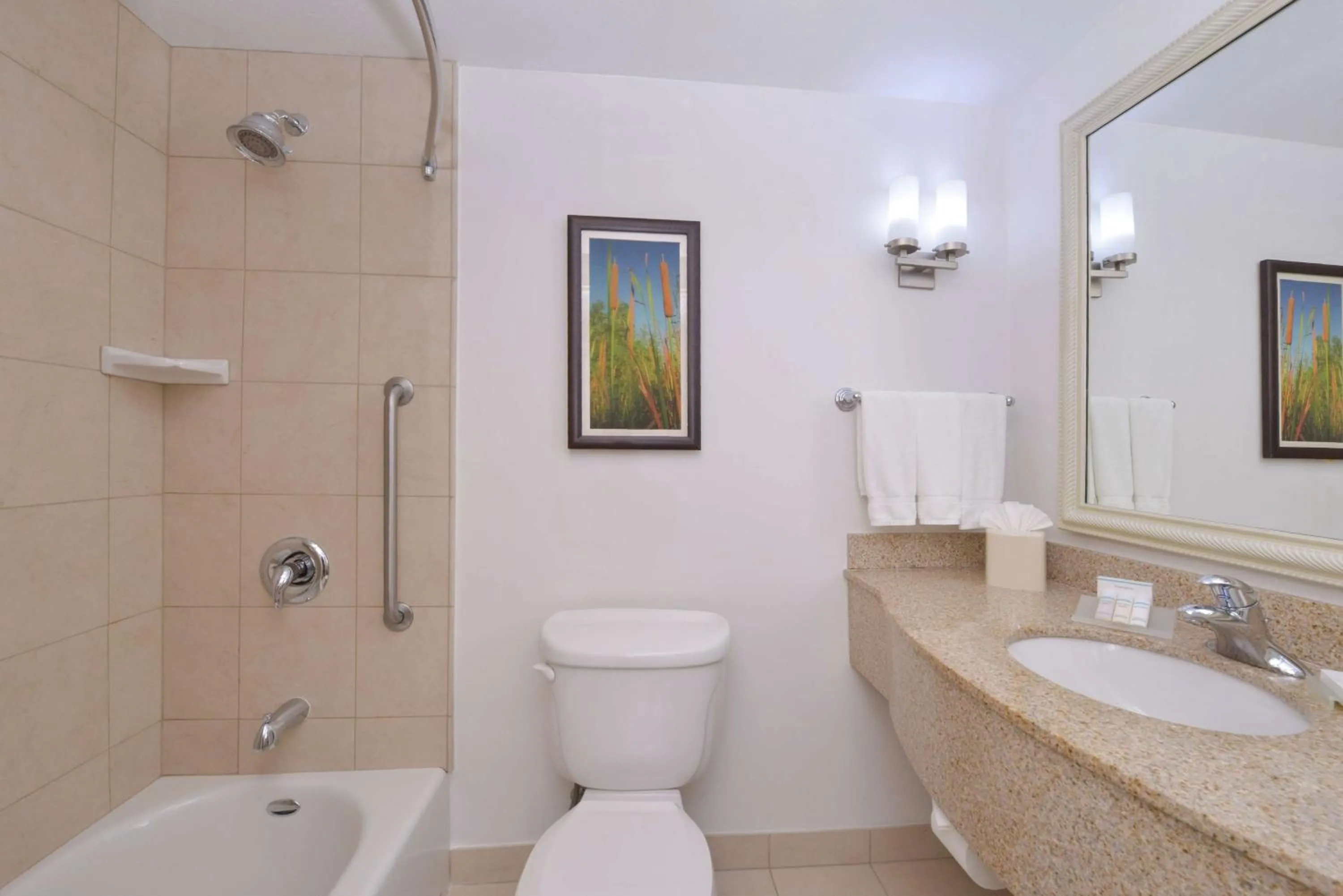 Bathroom in Hilton Garden Inn Yuma Pivot Point