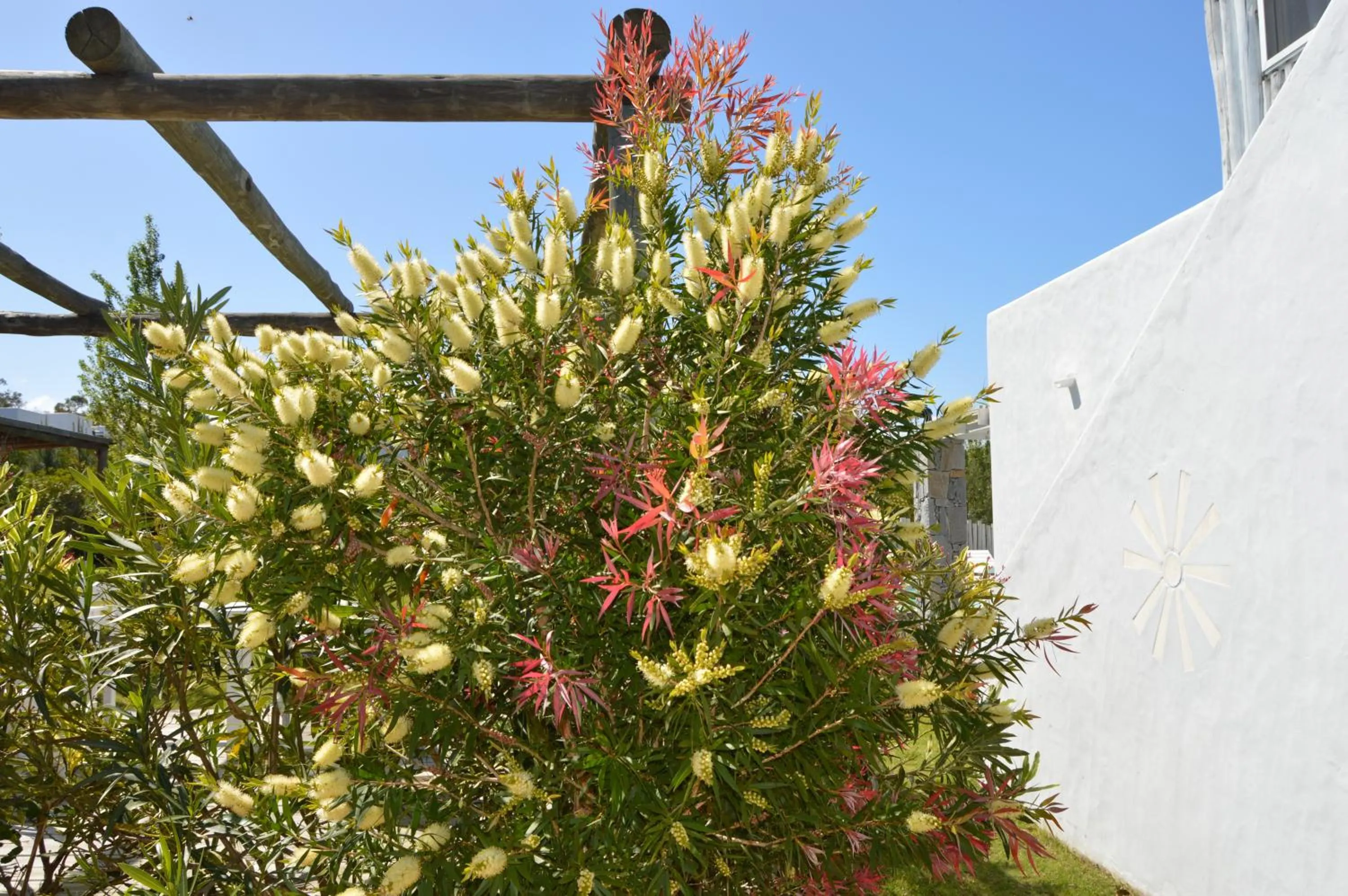 Garden in Kalá Hotel Boutique