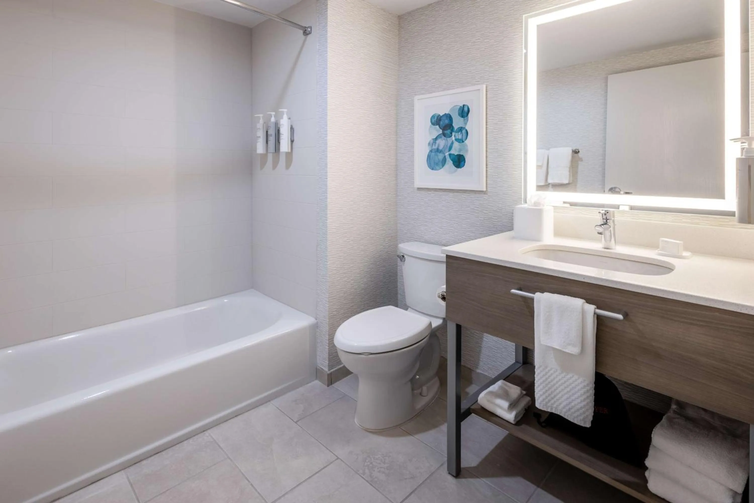 Bathroom in Hampton Inn & Suites Venice Bayside South Sarasota