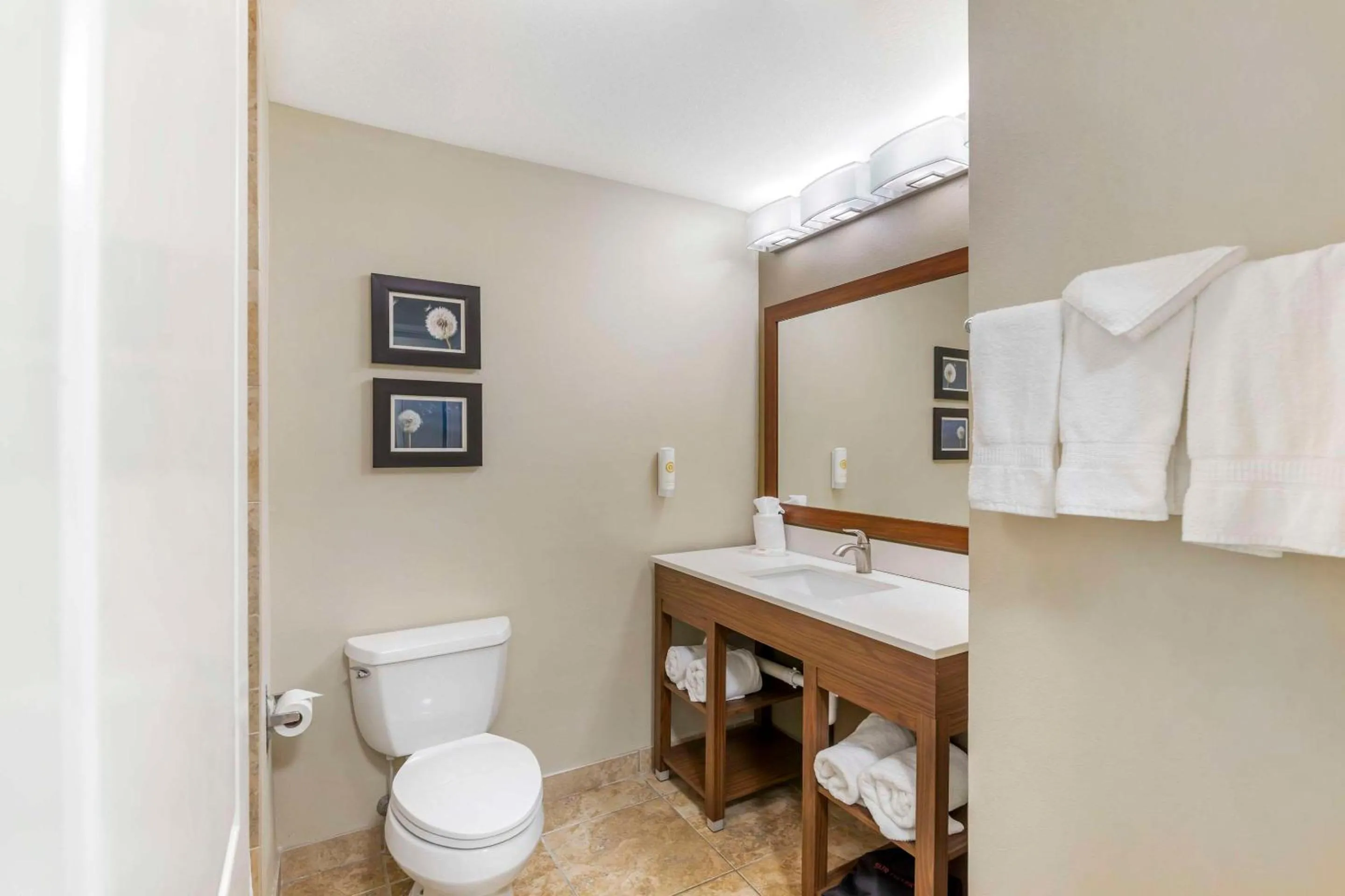 Bathroom in Comfort Inn & Suites