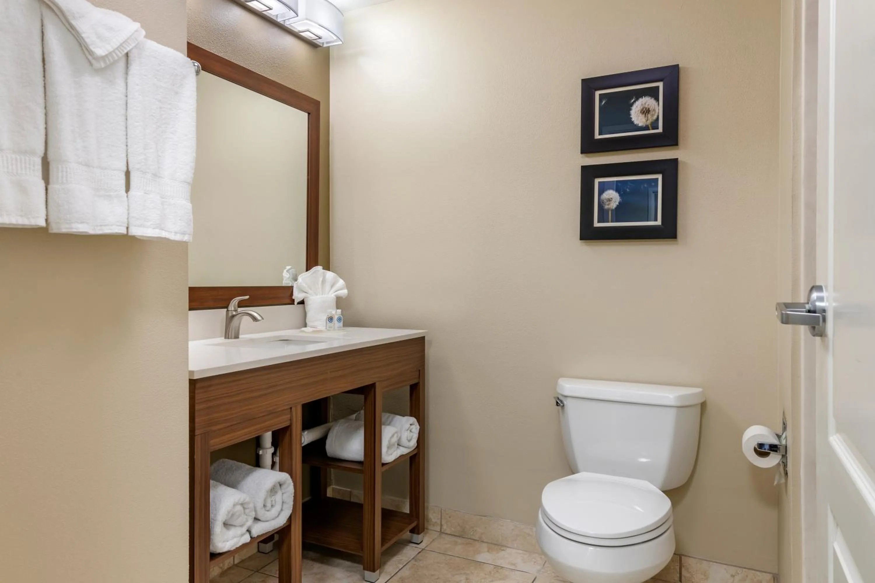 Toilet in Comfort Inn & Suites