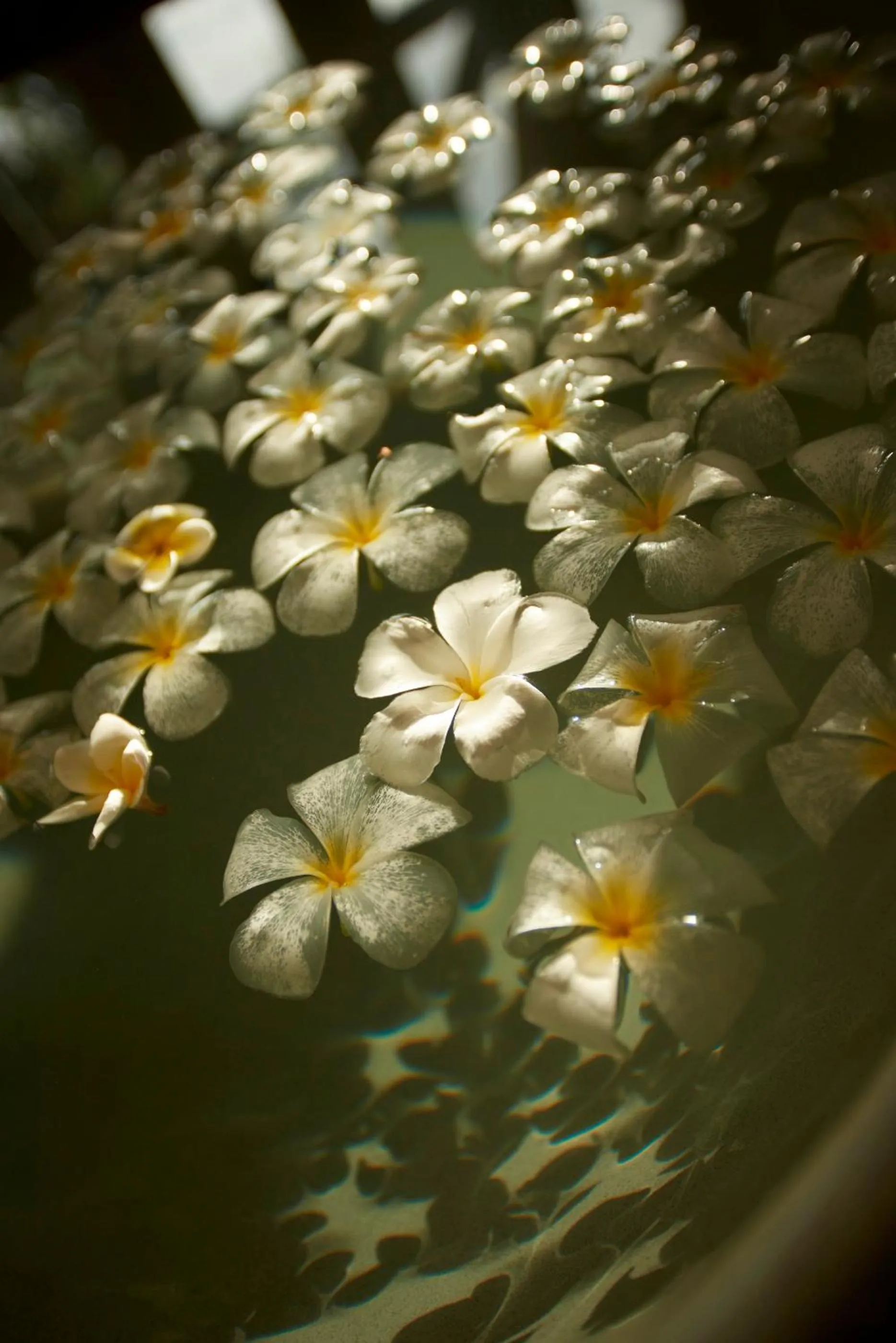 Other in Tadrai Island Resort