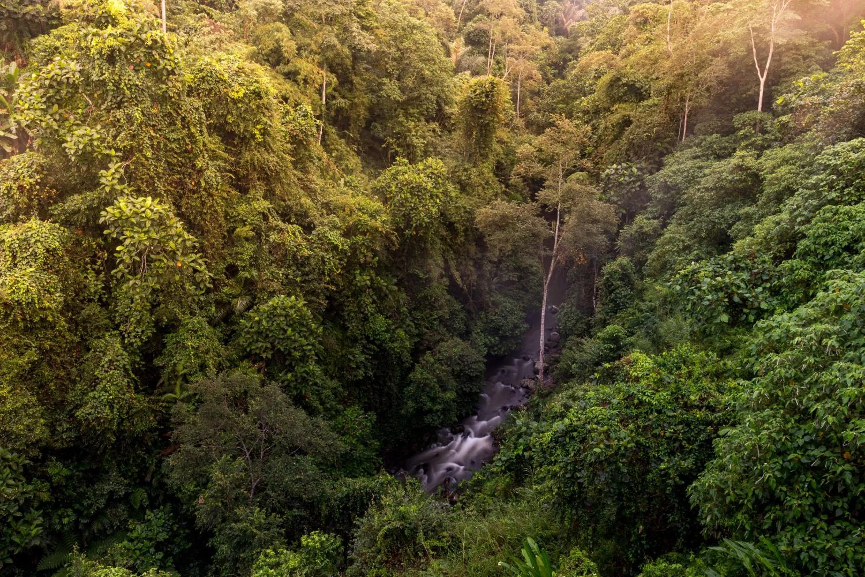 Day in Tanah Merah Art Resort by AGATA