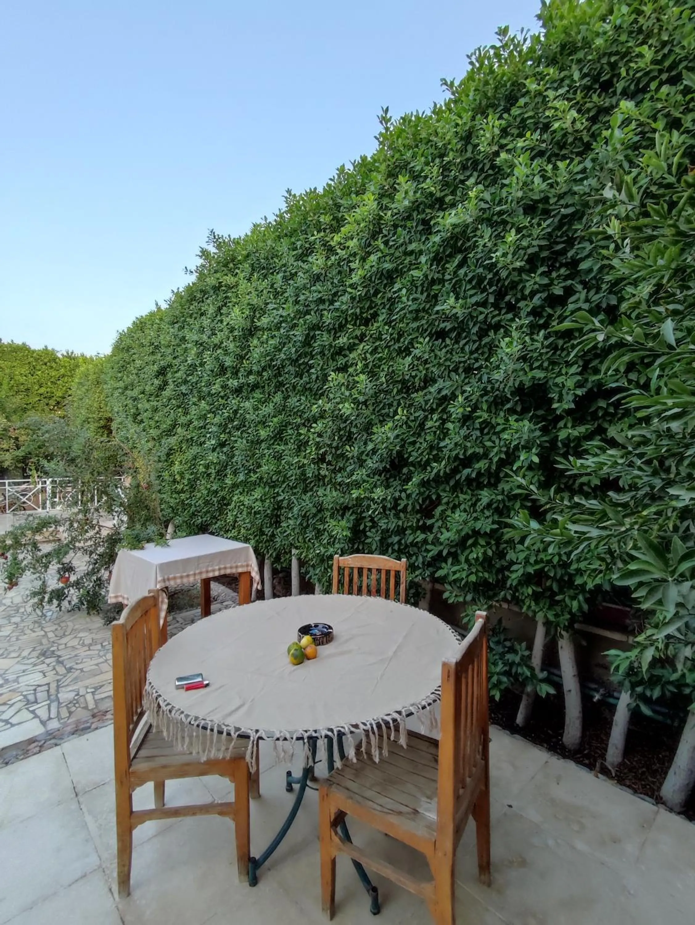 Balcony/Terrace in Villa Rayan
