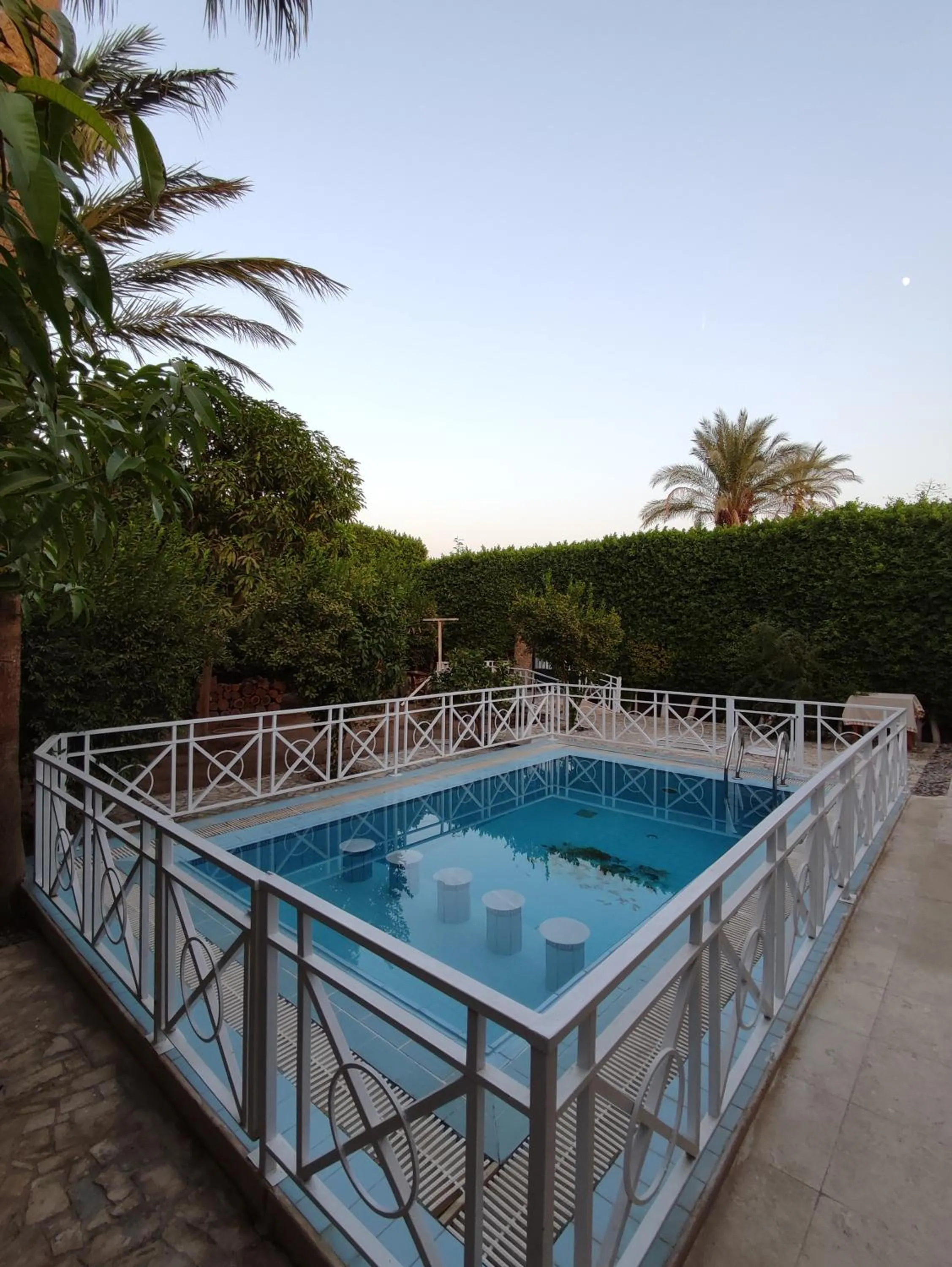 Swimming pool in Villa Rayan