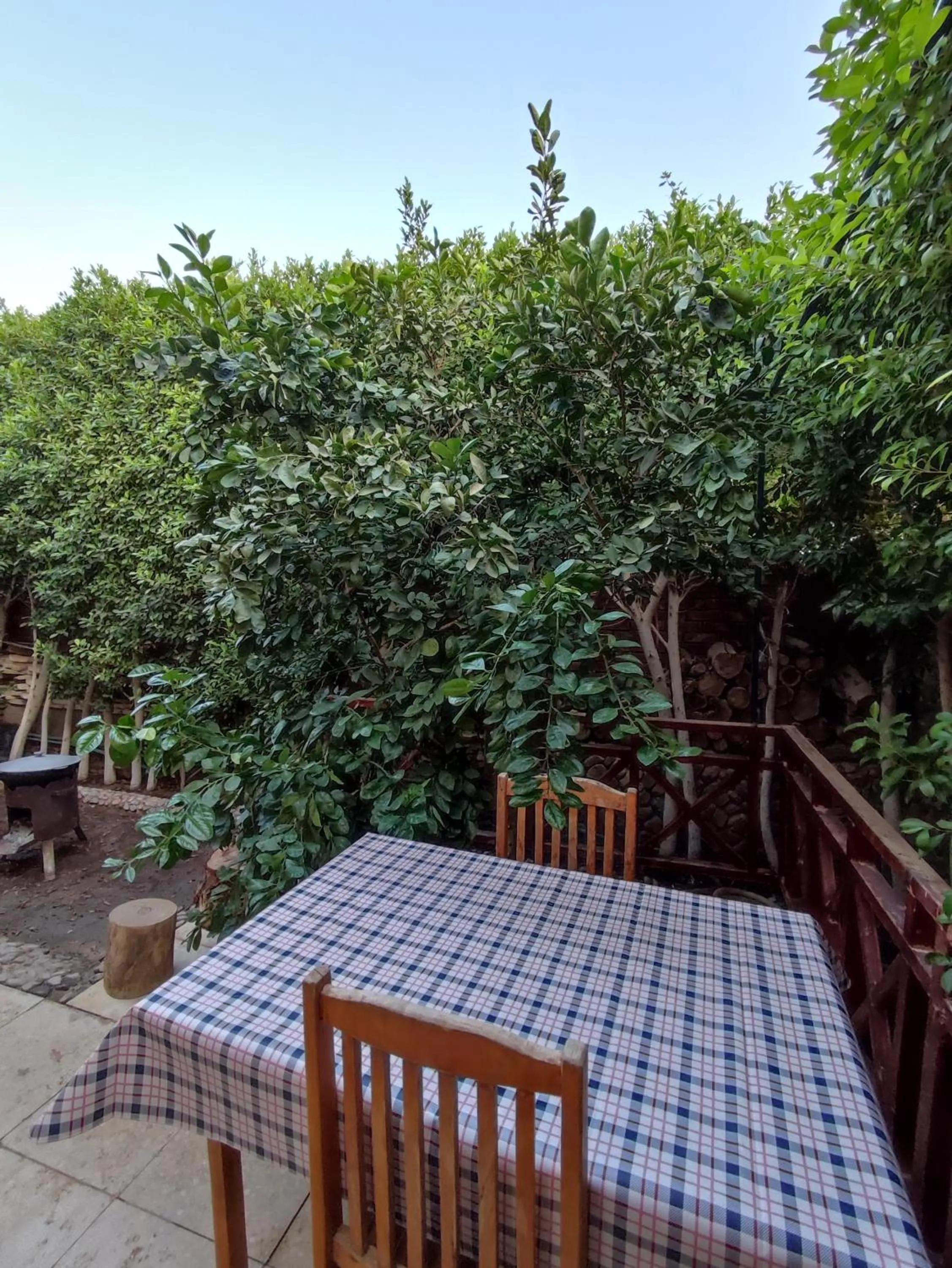 Garden in Villa Rayan