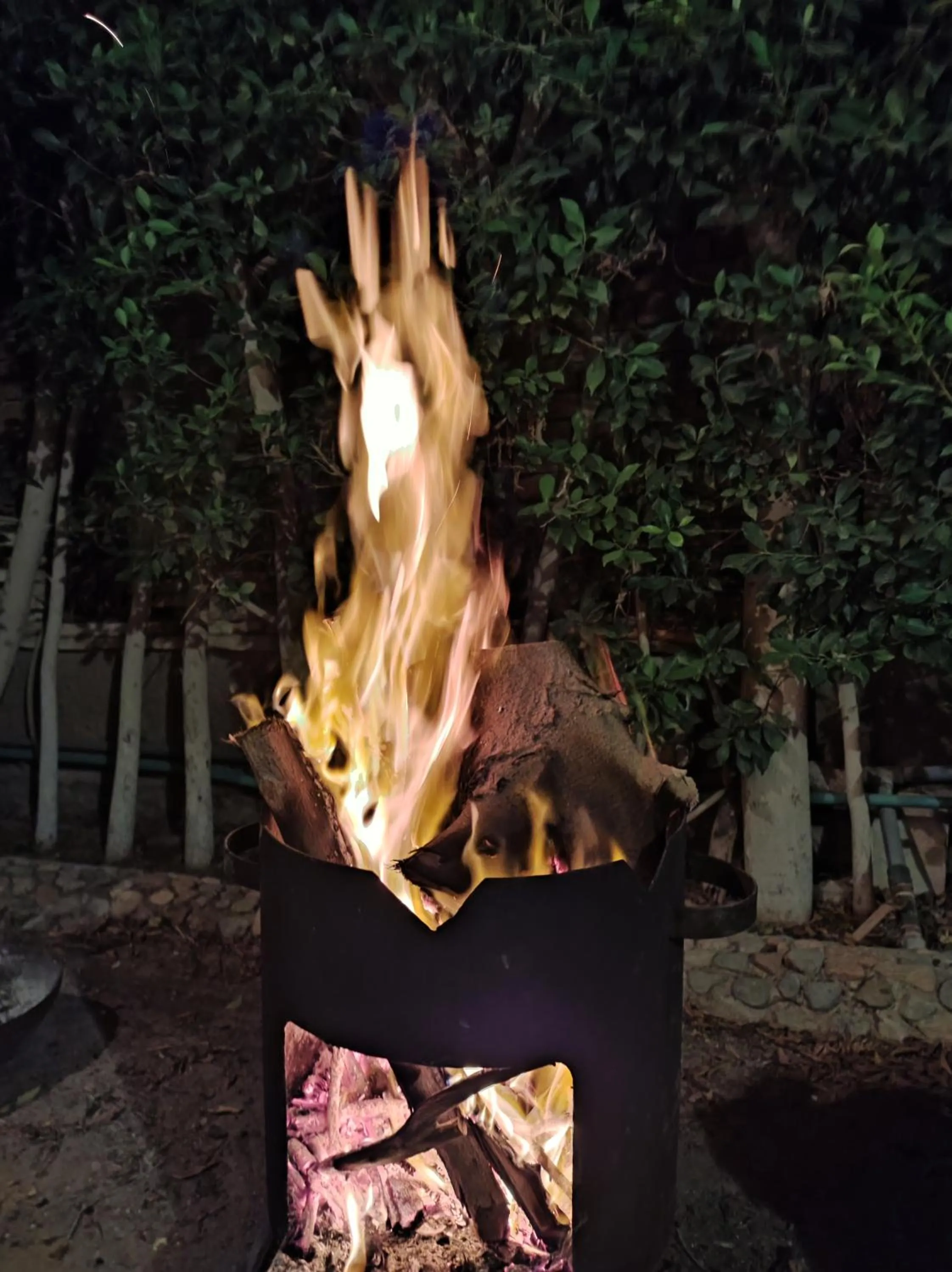 BBQ facilities in Villa Rayan