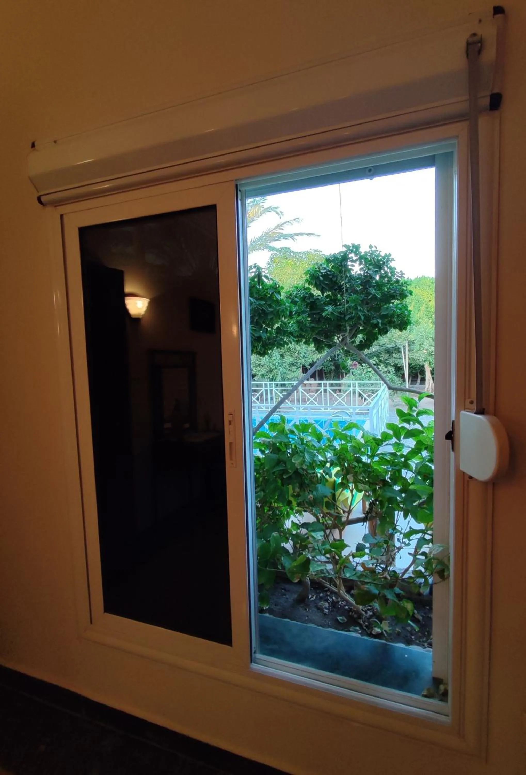 Pool view in Villa Rayan