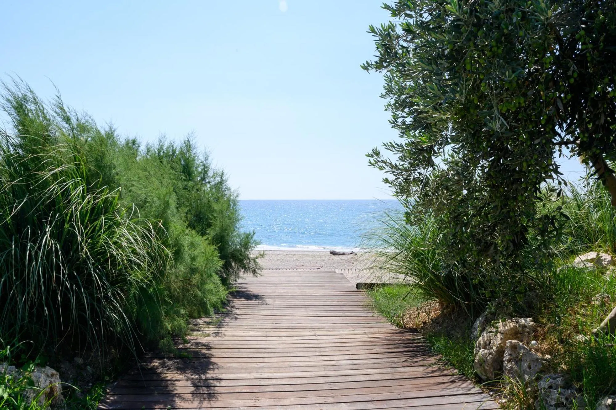 Nearby landmark in Poseidon Beach Hotel