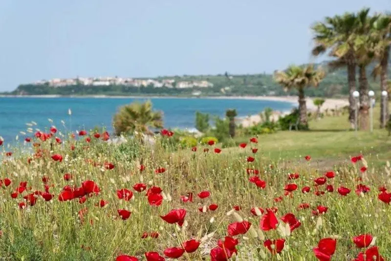 Day in Poseidon Beach Hotel