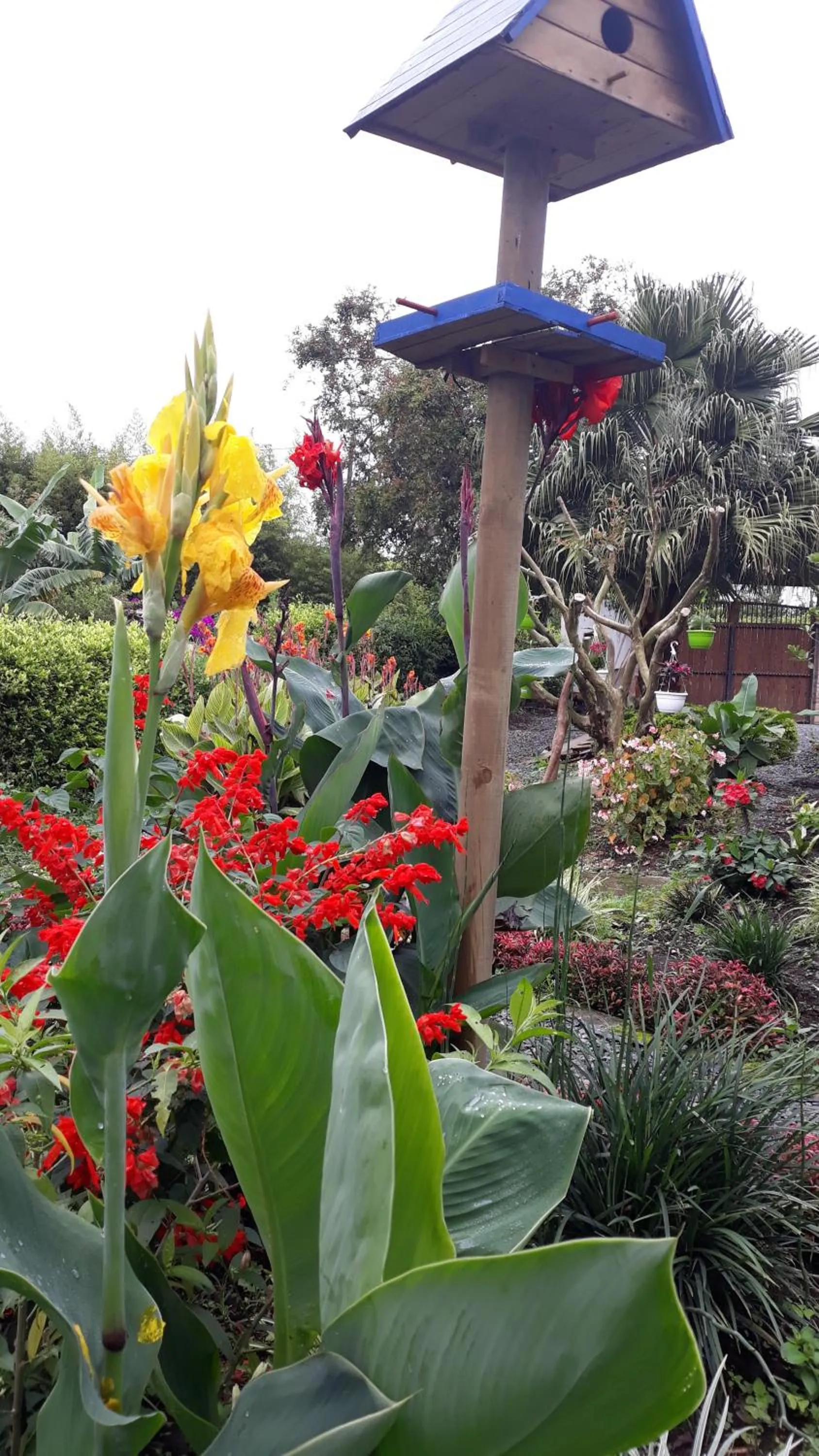 Garden in El Portal de Mariana