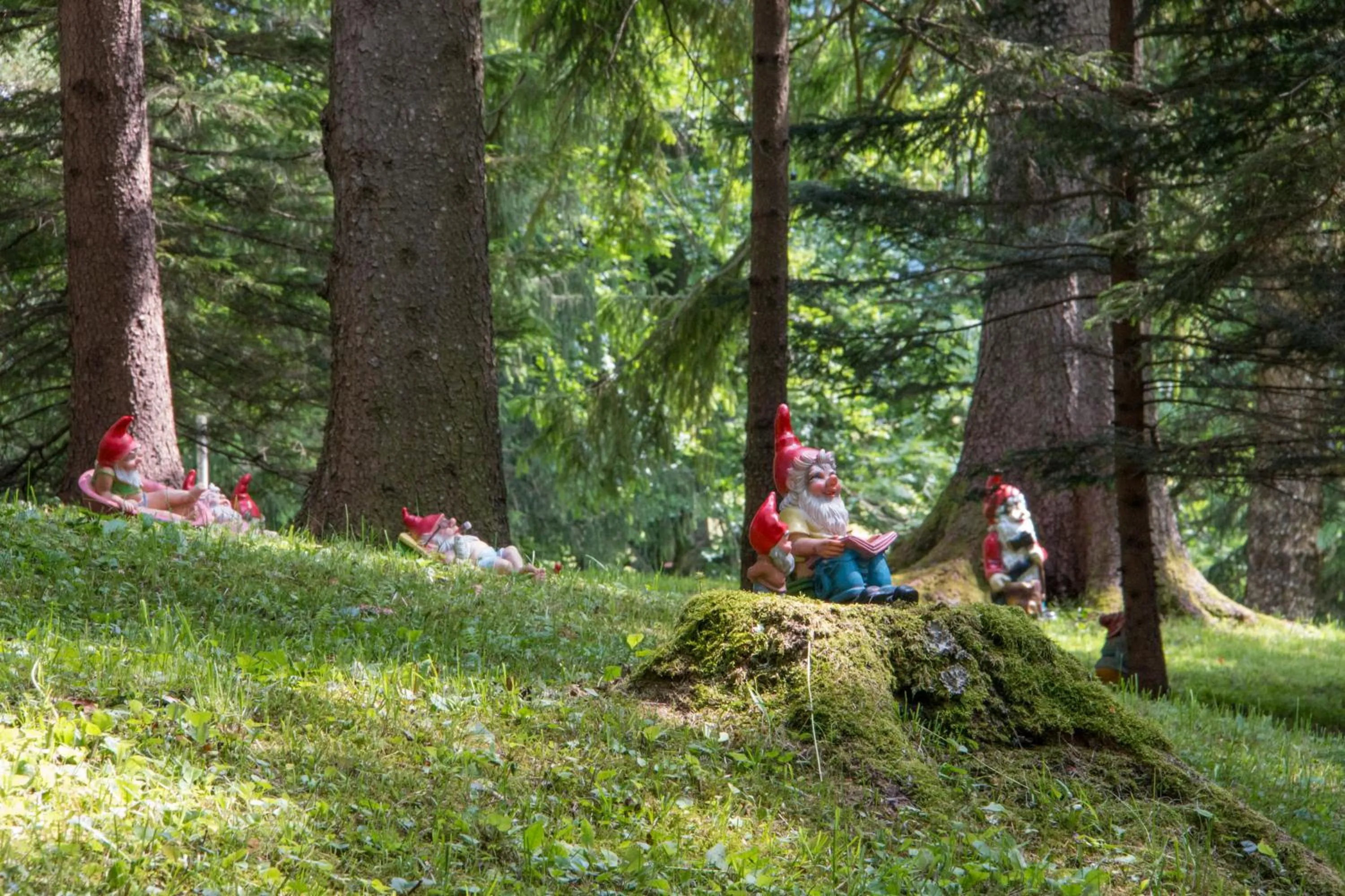 Garden view in Hotel Restaurant Winterbach
