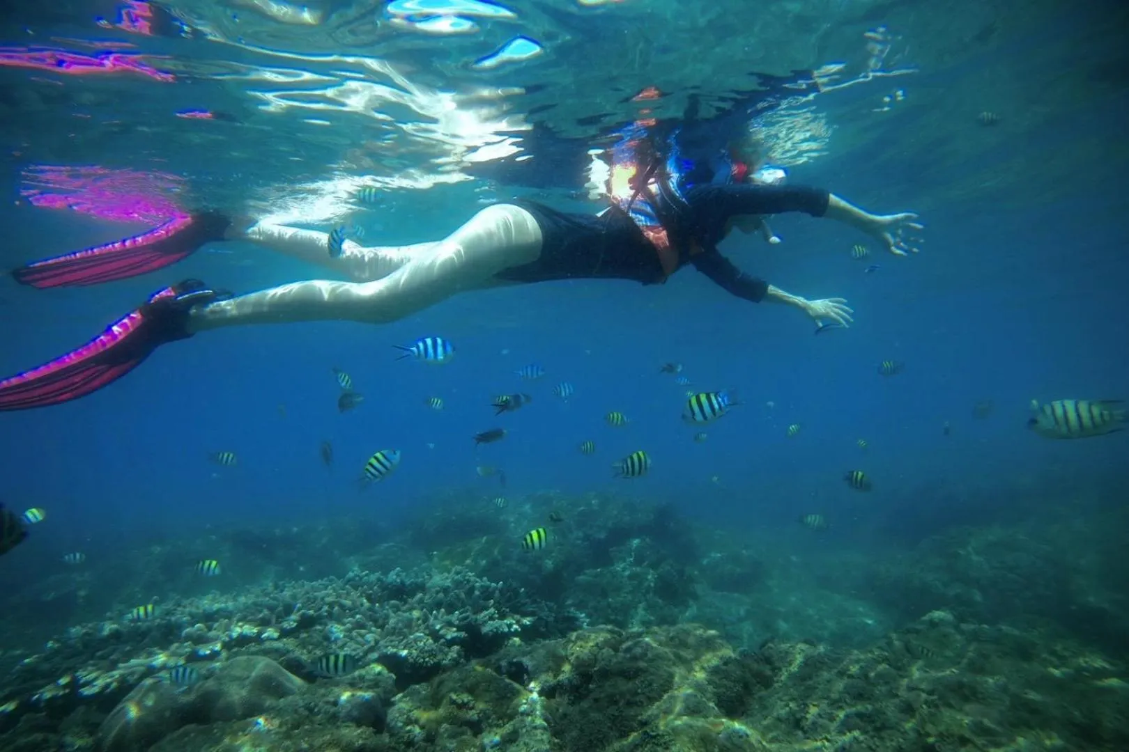 Snorkeling in Mandarin Oriental, Sanya