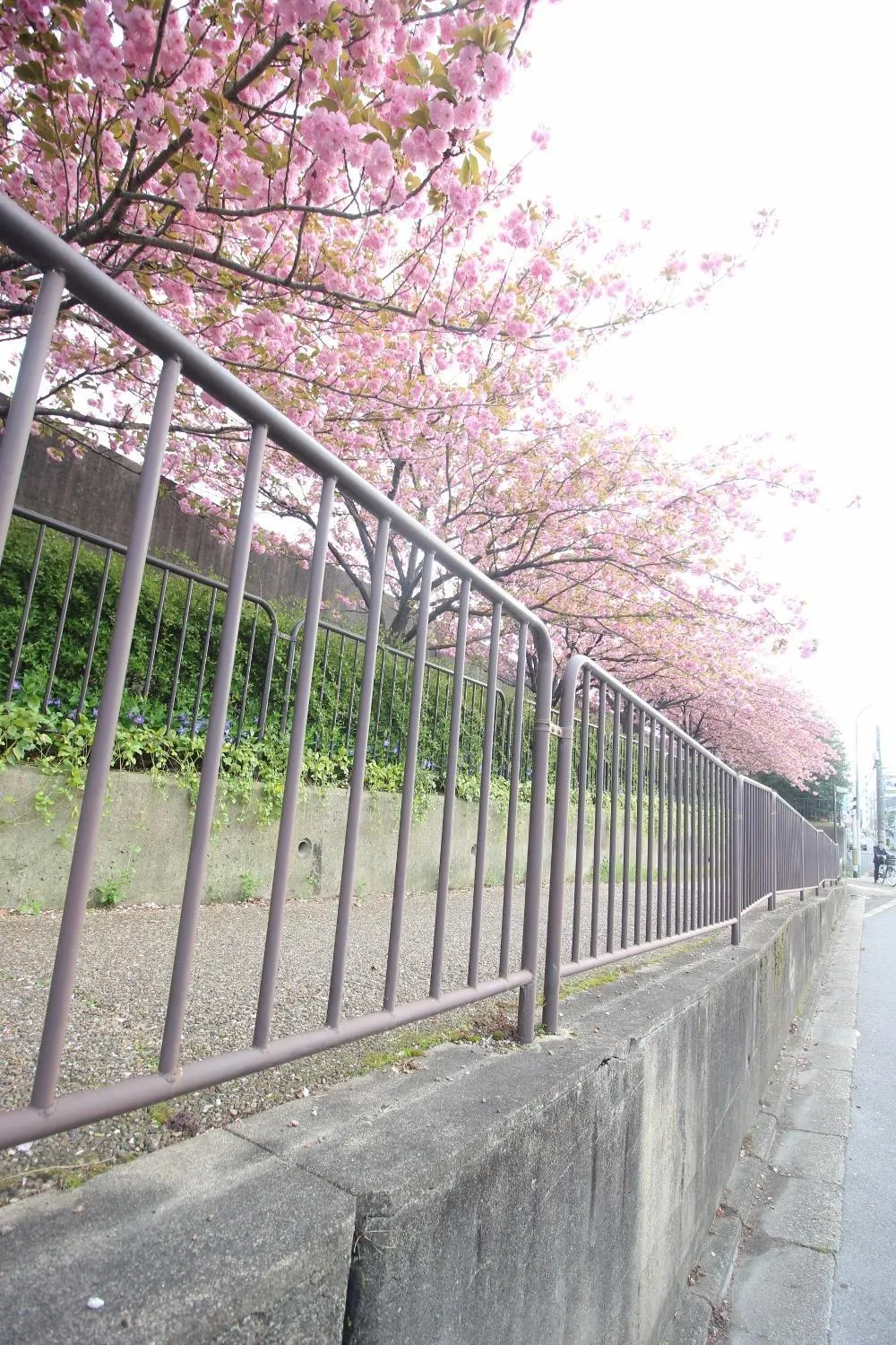 Neighbourhood in Kiyomori no Baika