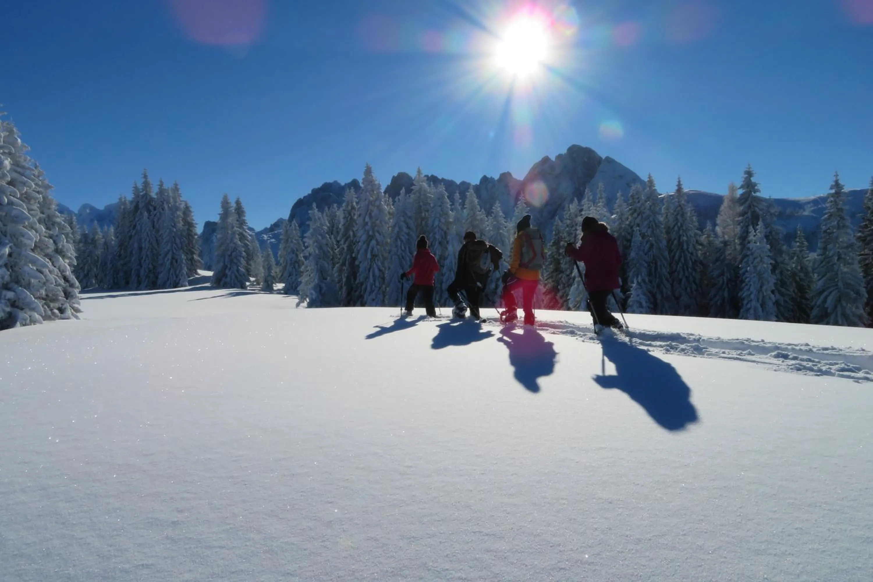 Skiing in Hotel Kerschbaumer