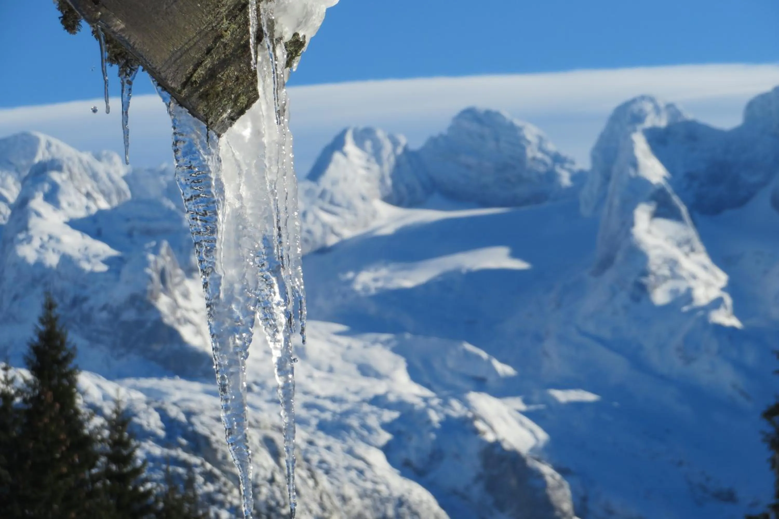 Skiing in Hotel Kerschbaumer