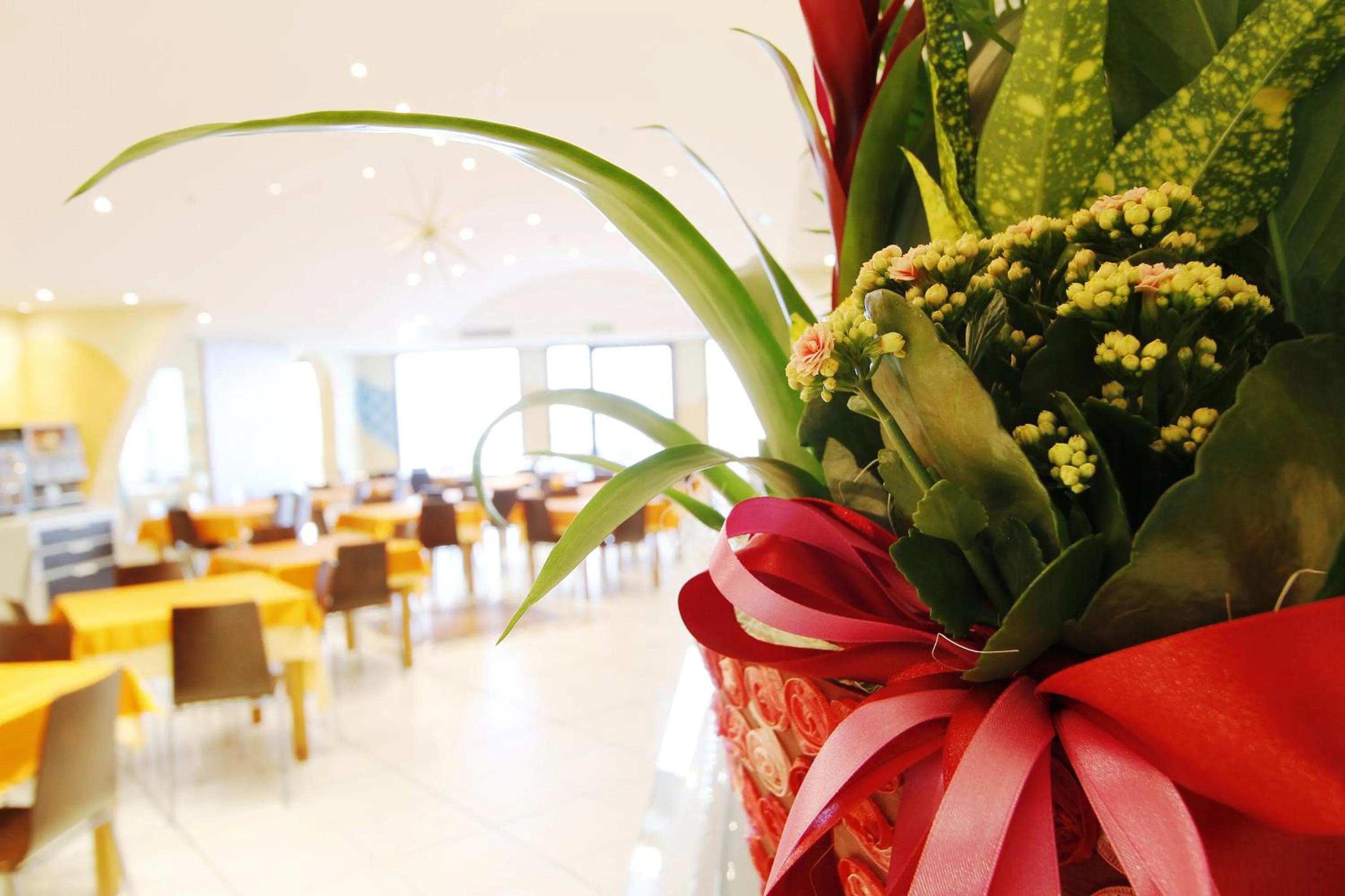 Dining area in Hotel Stella Maris