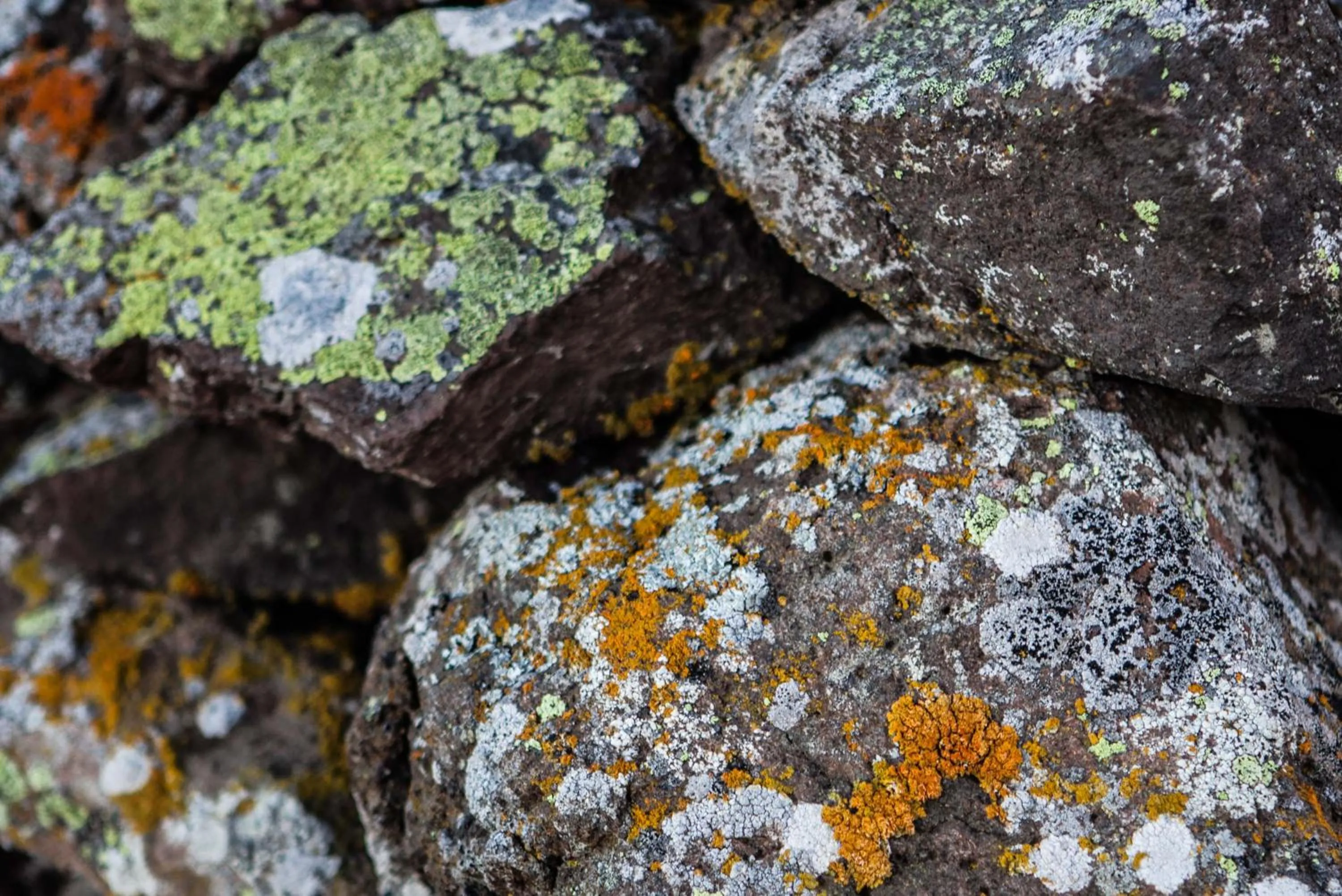 Mjóanes accommodation