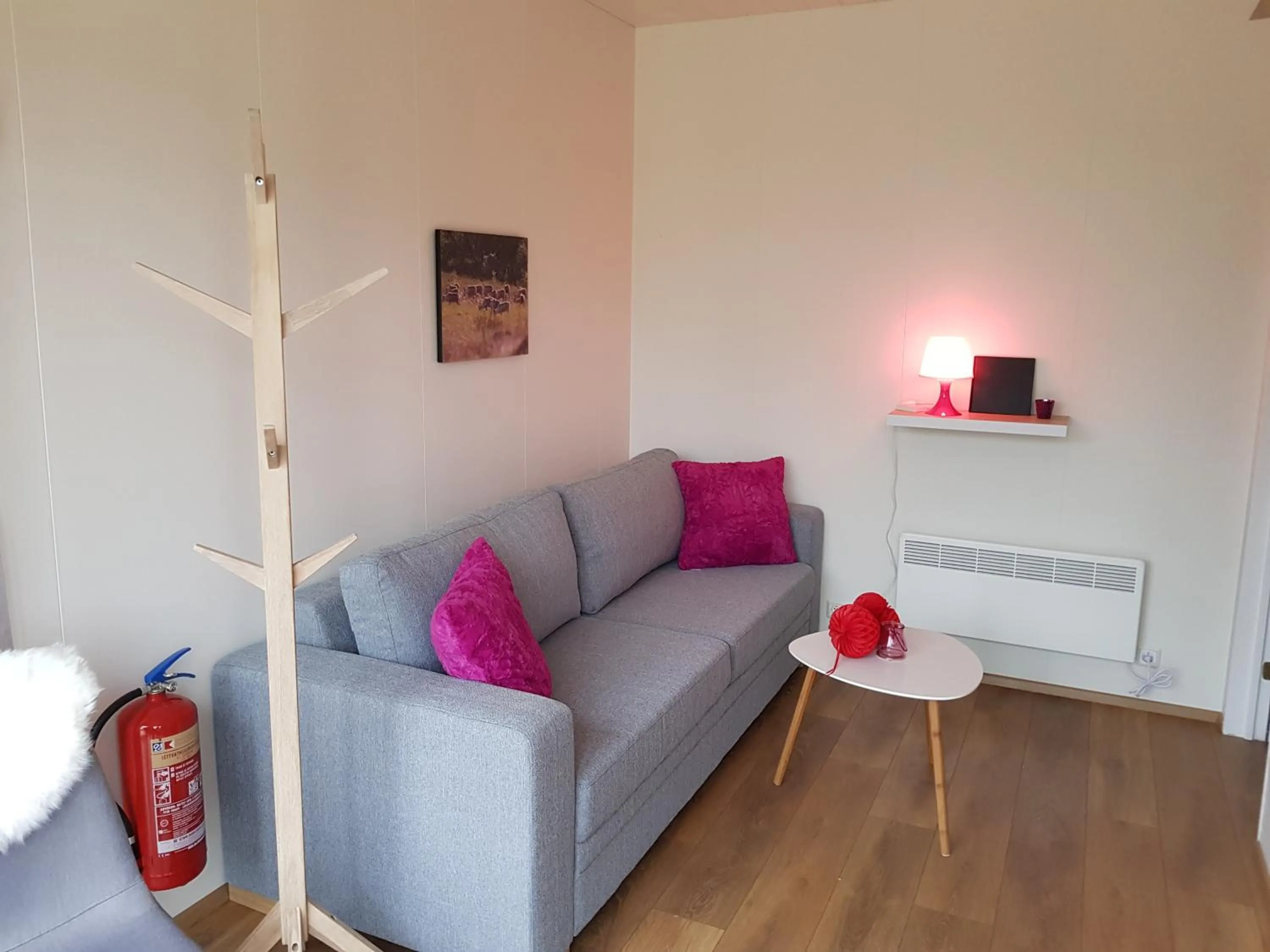 Photo of the whole room in Mjóanes accommodation