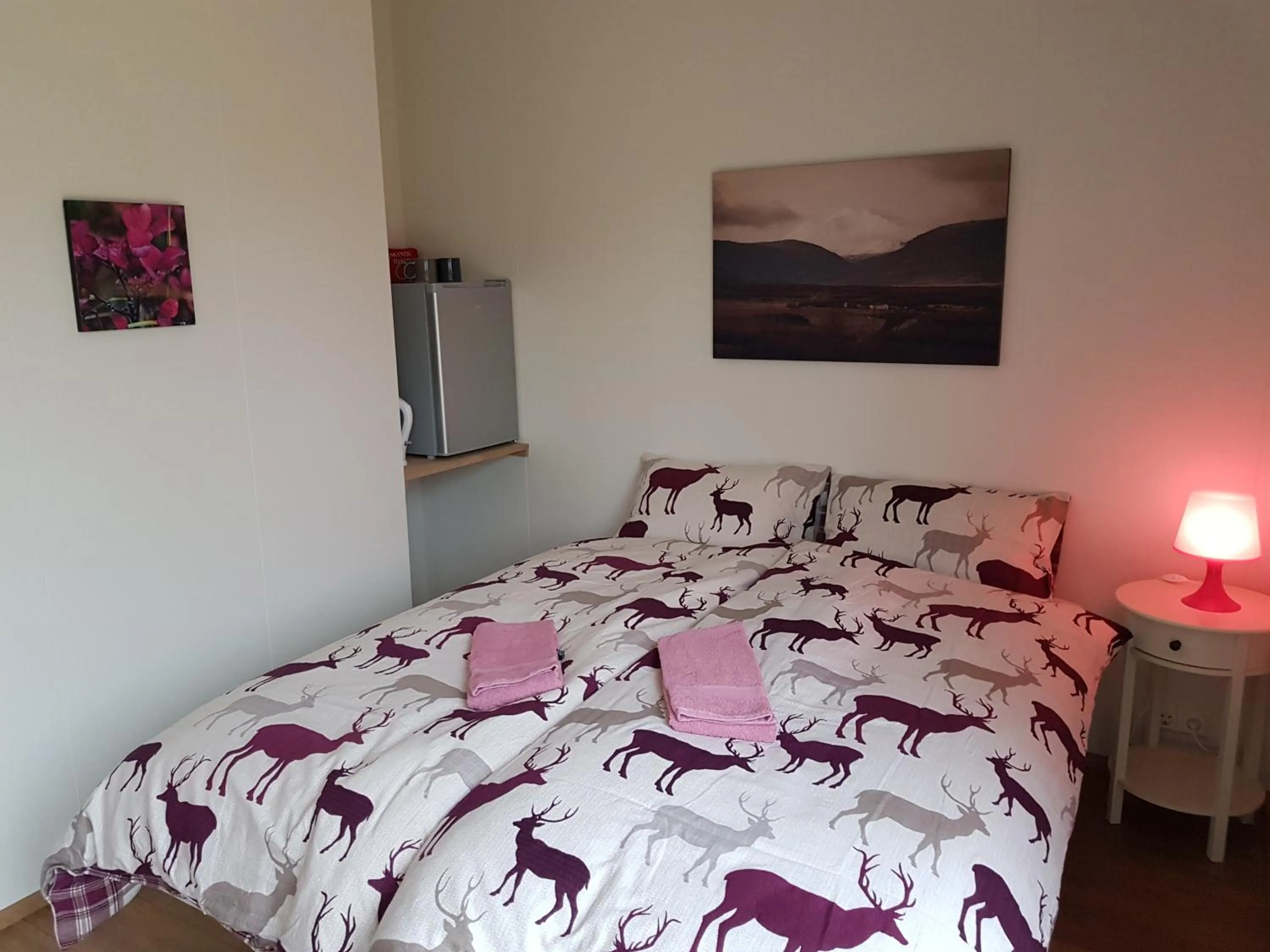 Photo of the whole room, Bed in Mjóanes accommodation
