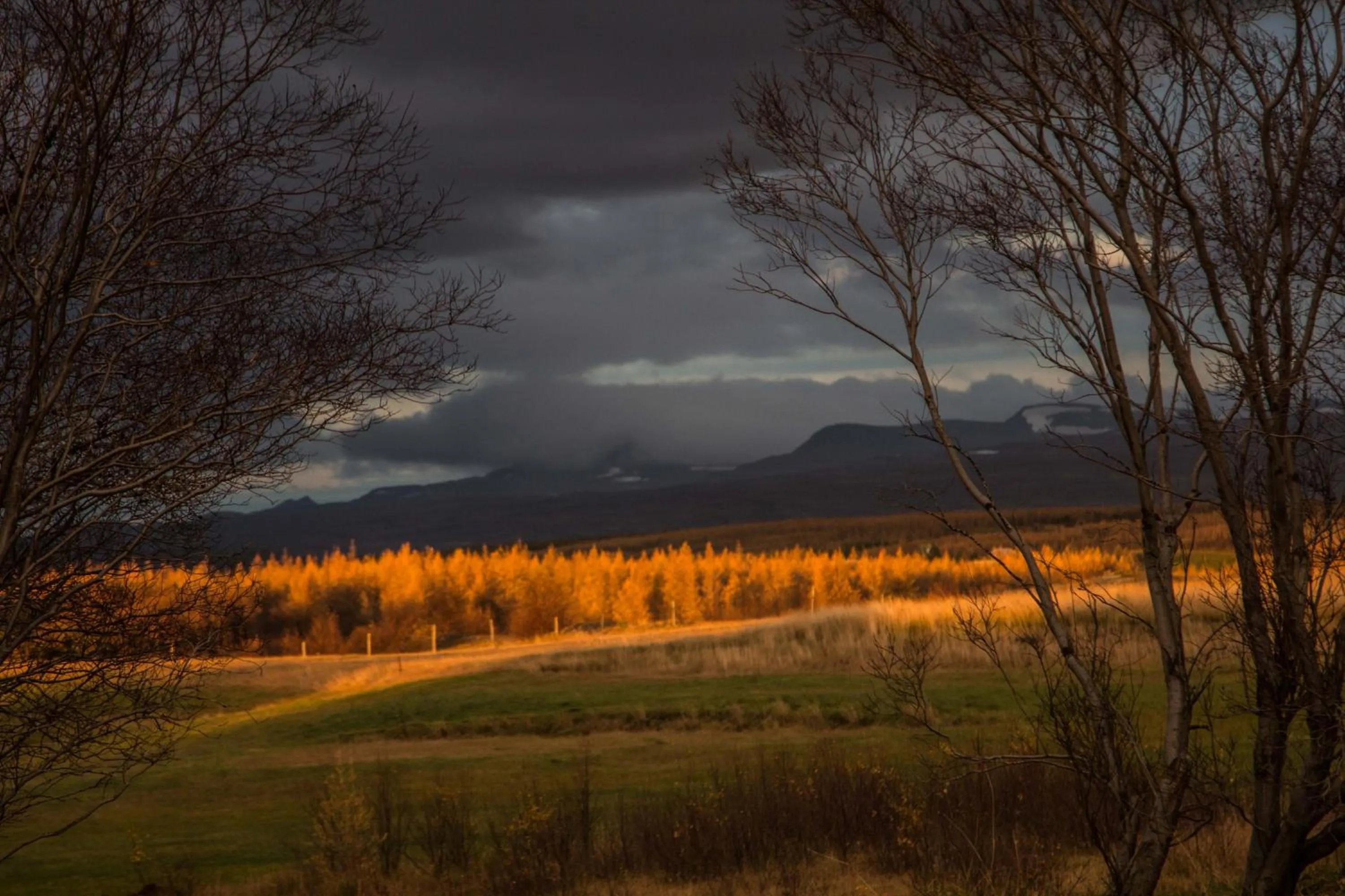 Garden view in Mjóanes accommodation