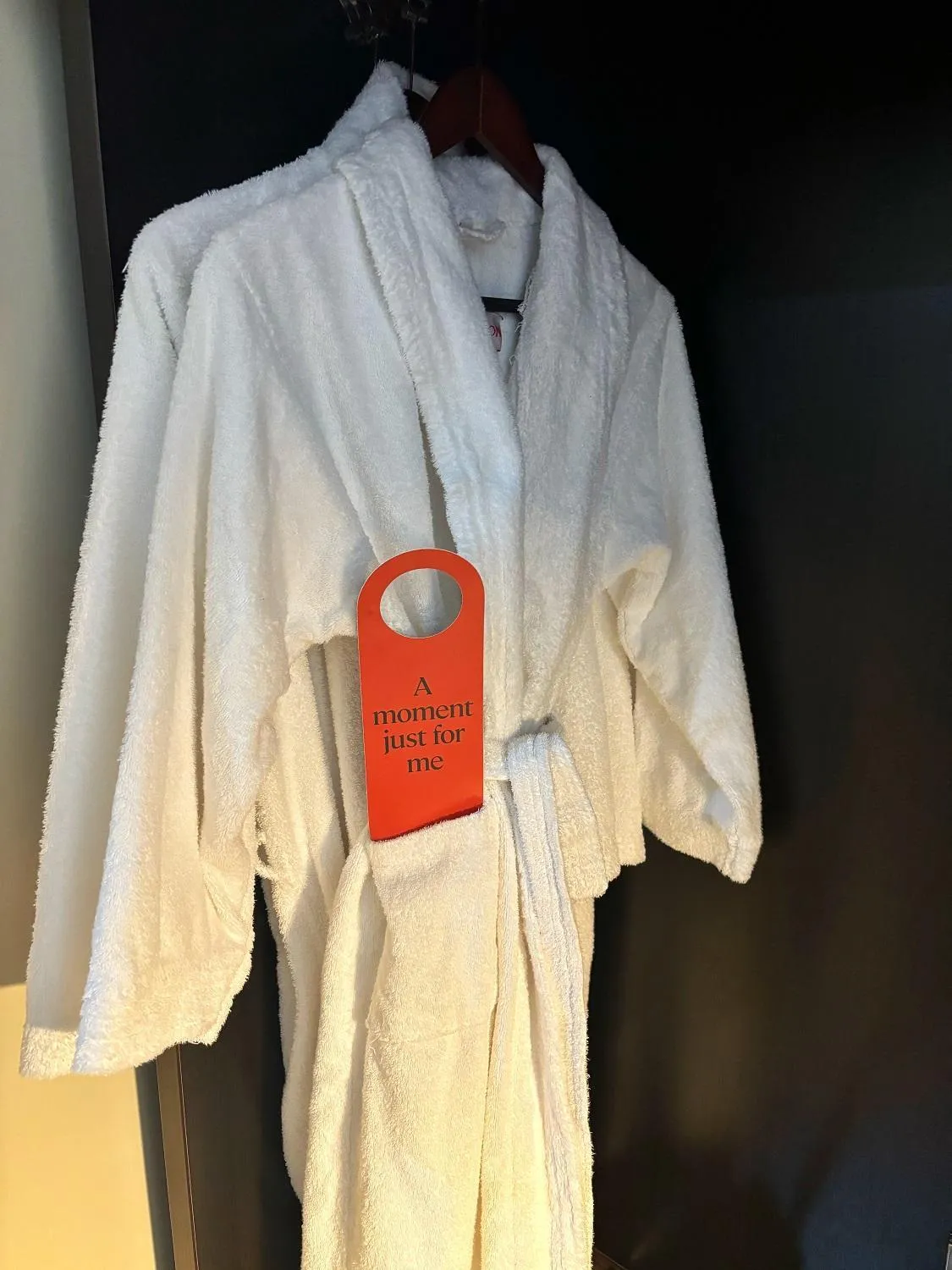 wardrobe in Clayton Hotel Cardiff