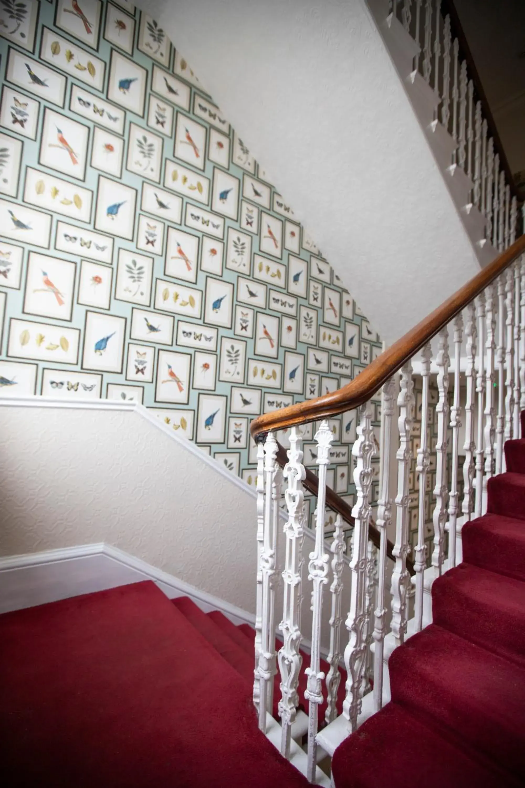 Townhouse Twin or Double Room (second building) in McKays Hotel Townhouse Twin or Double Room (second building) in McKays Hotel