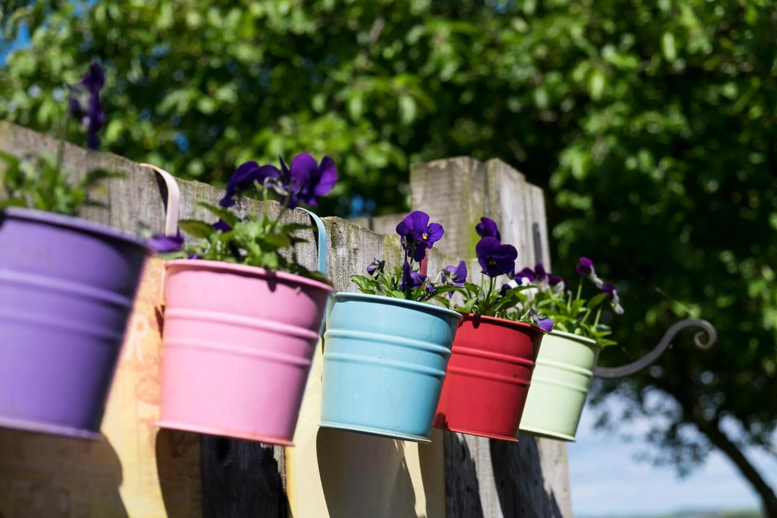Garden in Allanton Inn