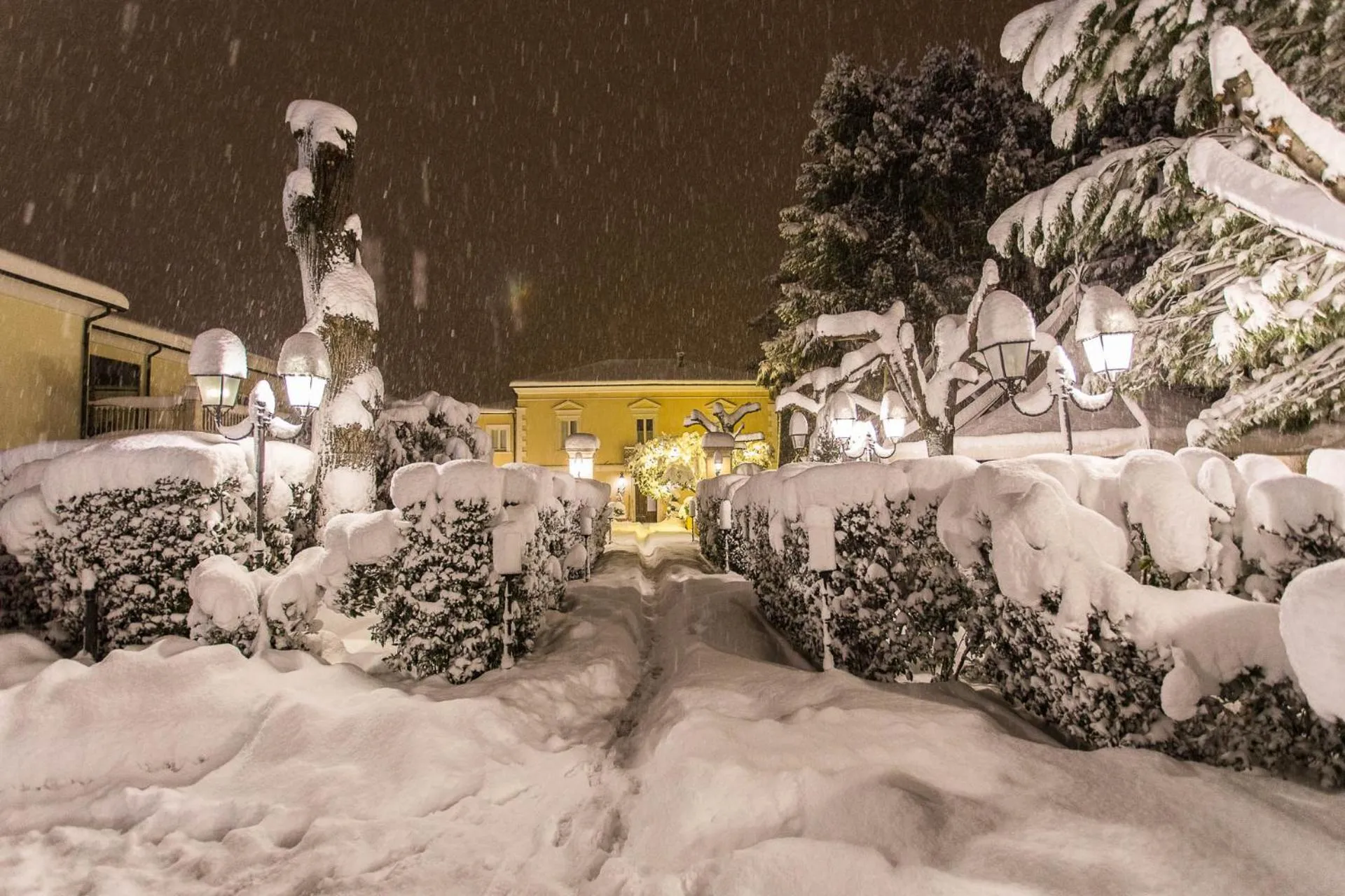 Regis Resort & Wellness