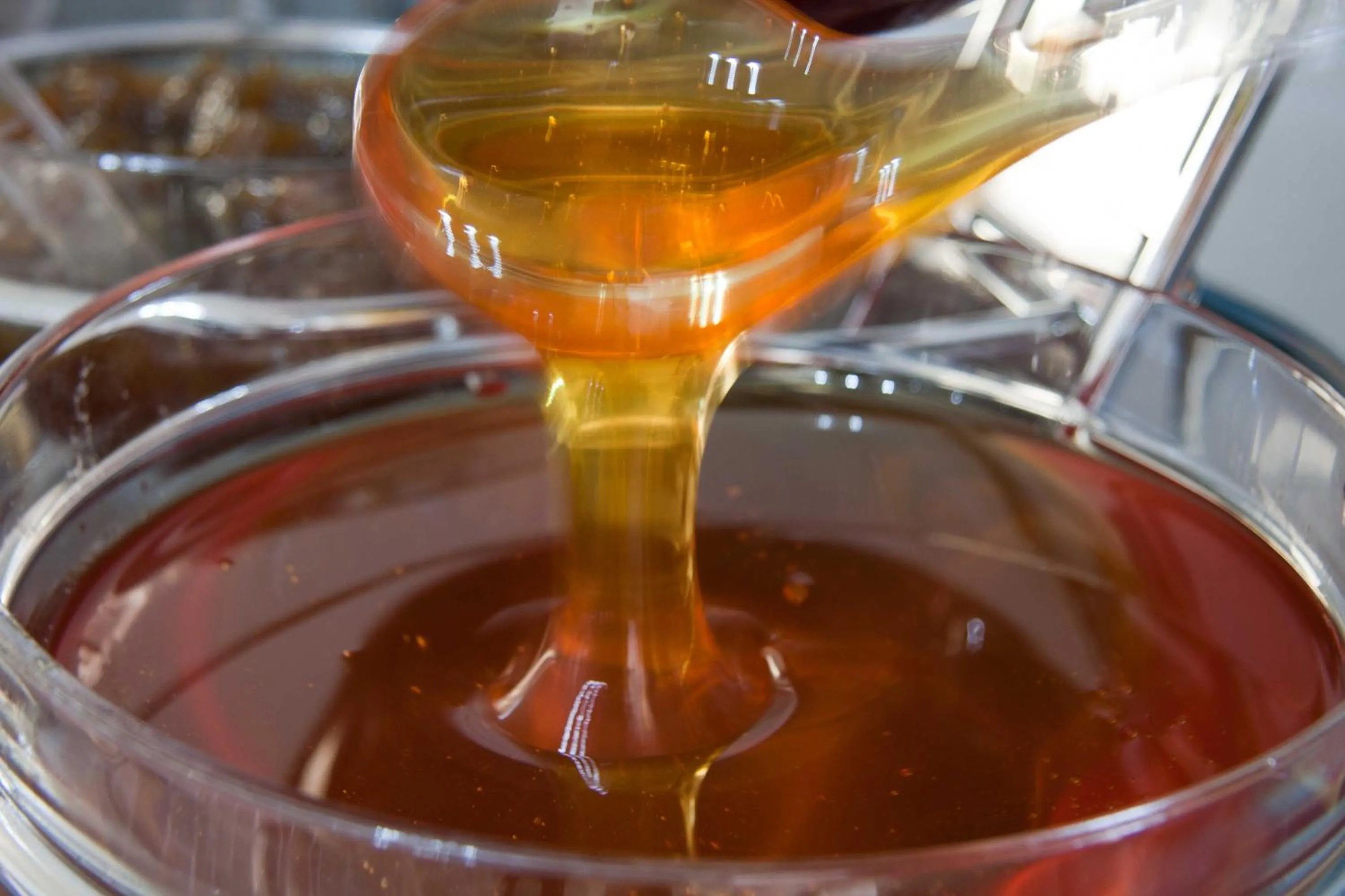 Food close-up in ALK Hotelᵀᴹ