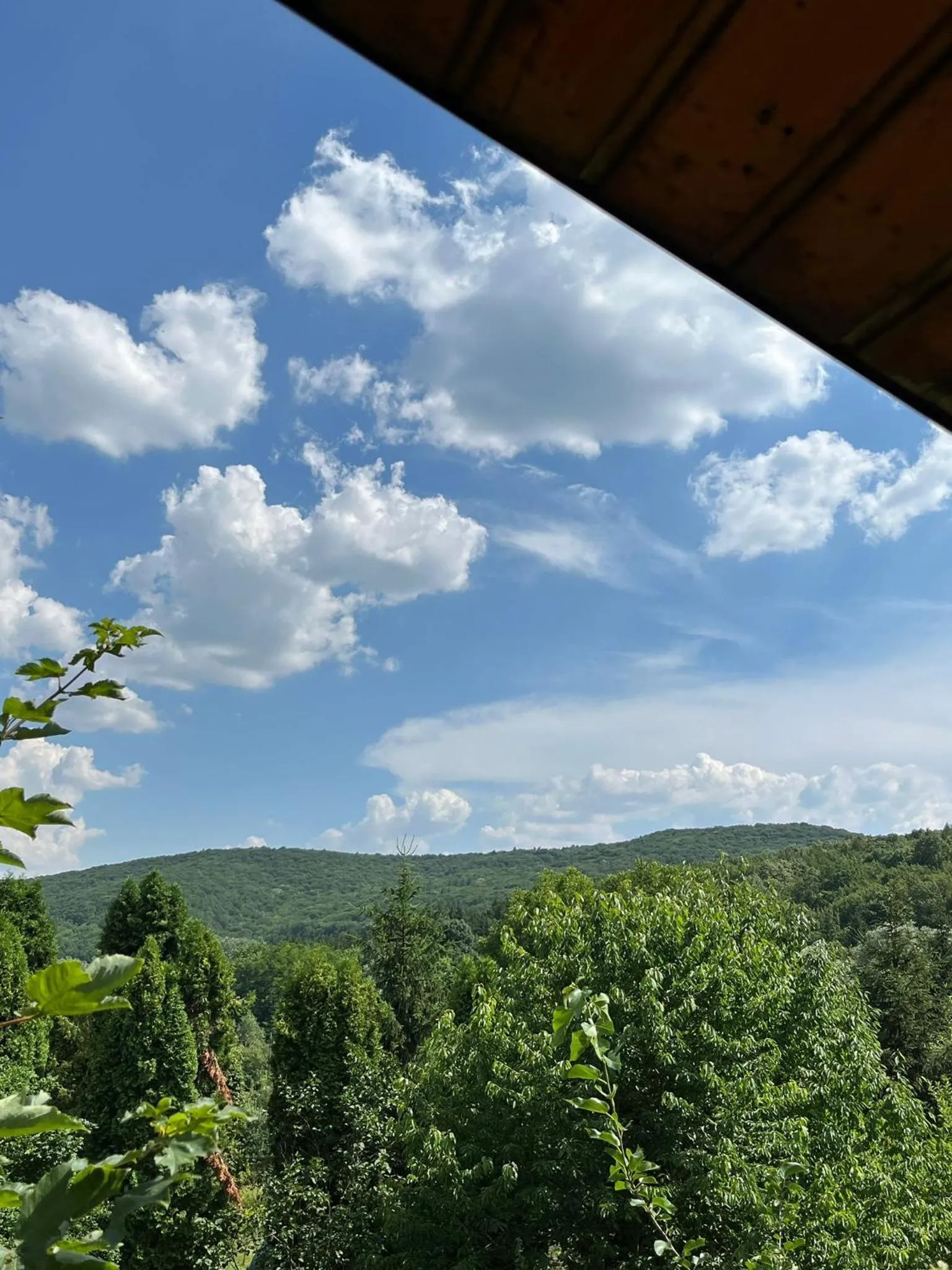 MAXX Lodge