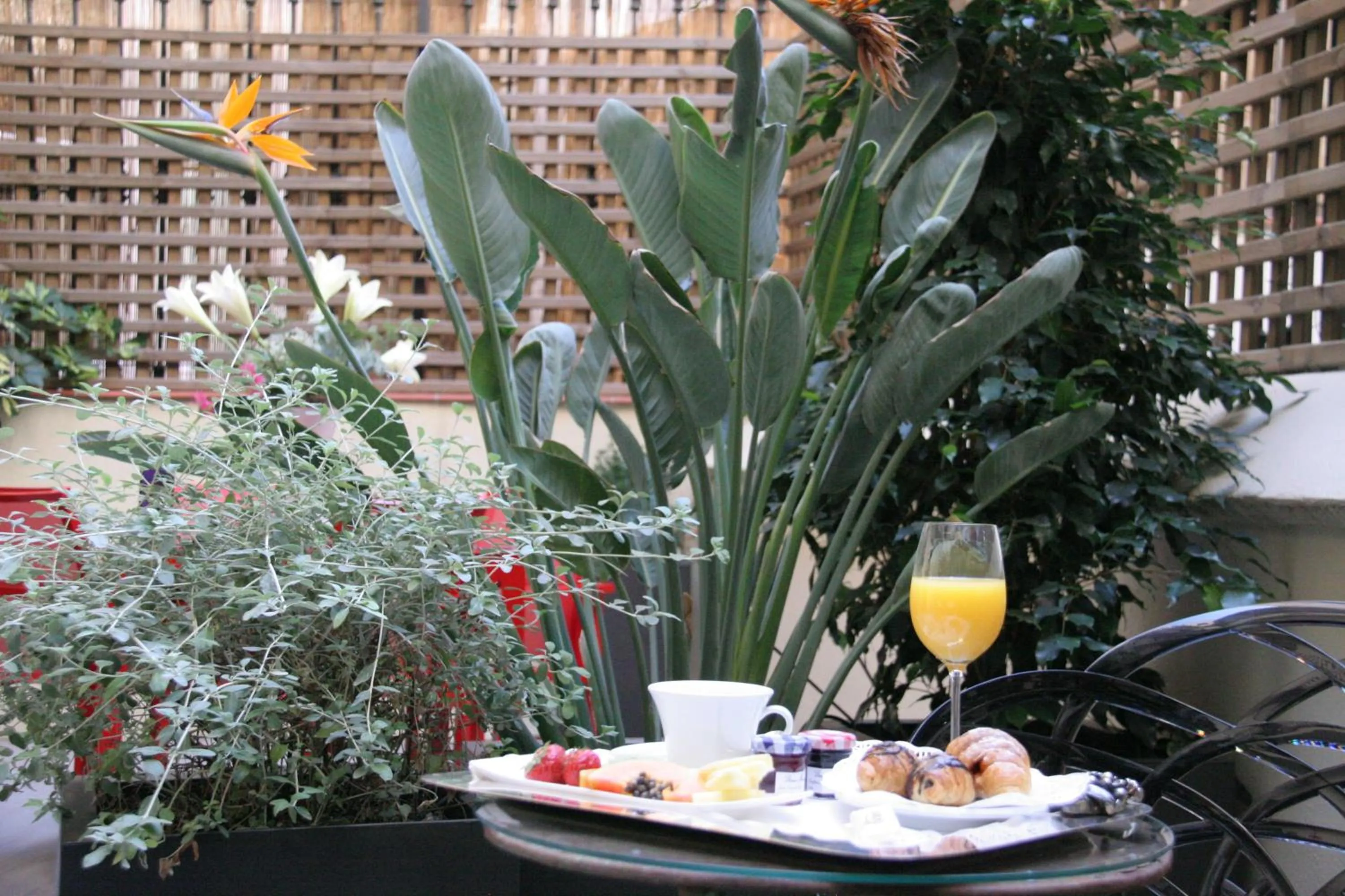 Garden in Anba Boutique