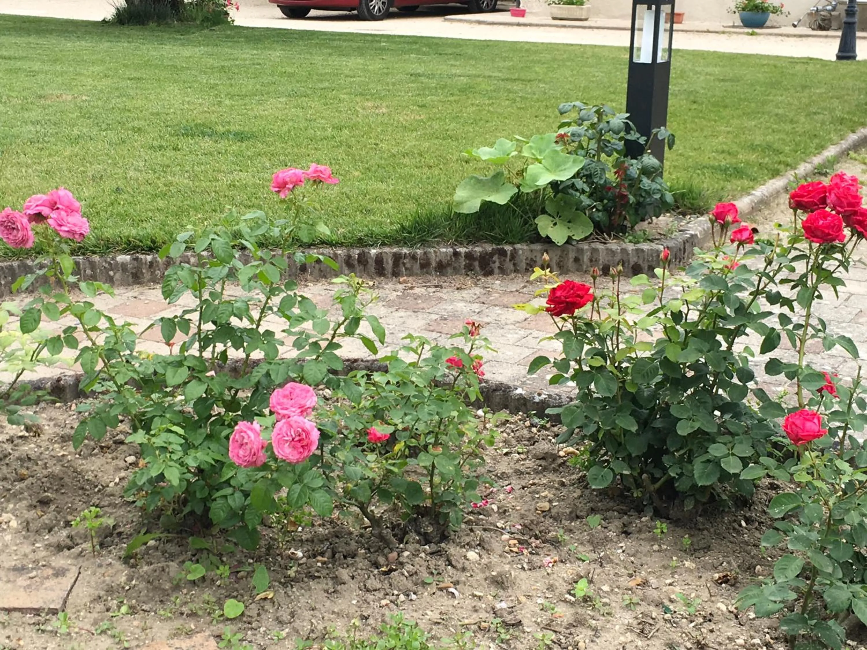 Garden in Manoir le Bout du Pont-Chambres d'Hôtes
