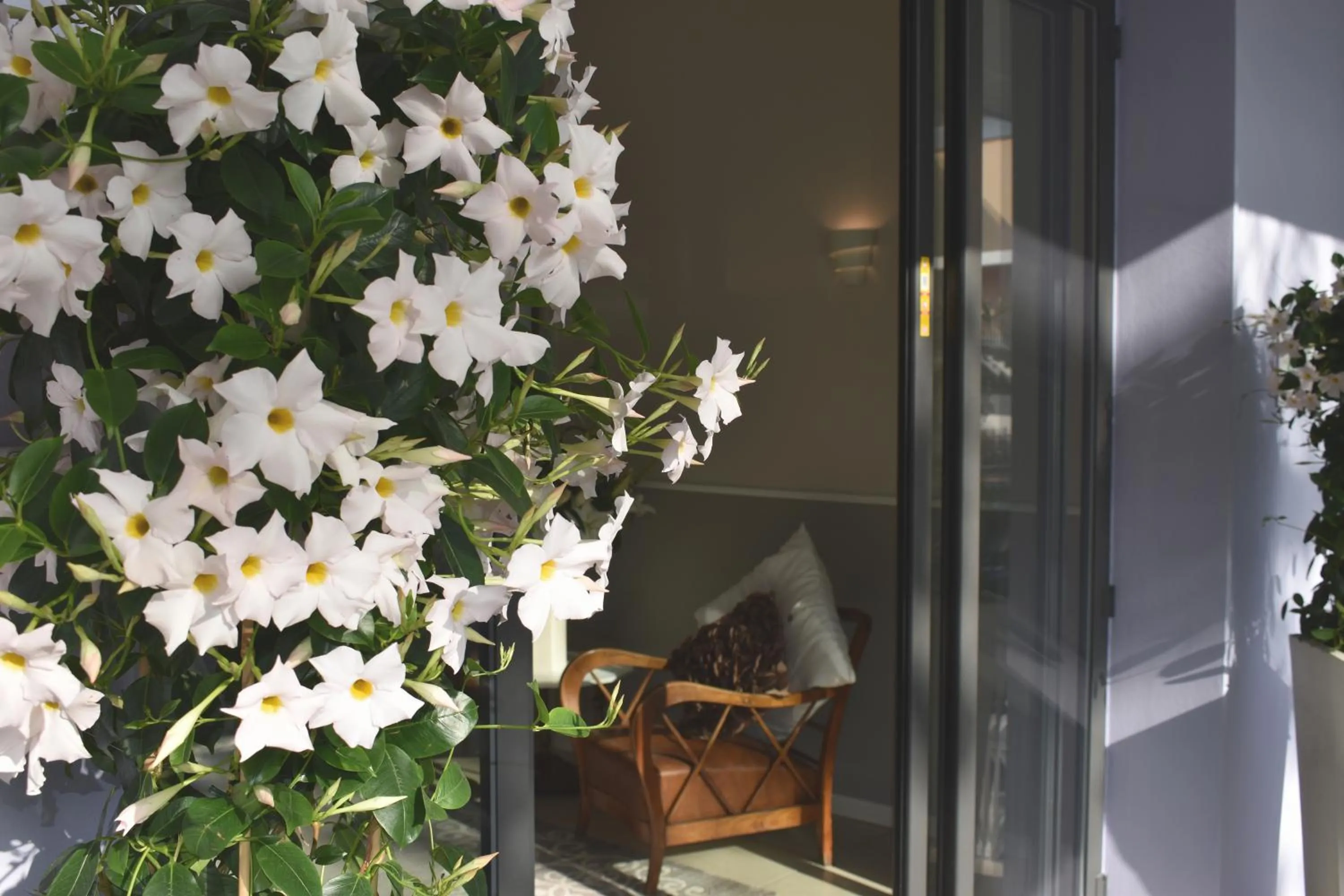 Facade/entrance in Hotel My Fair