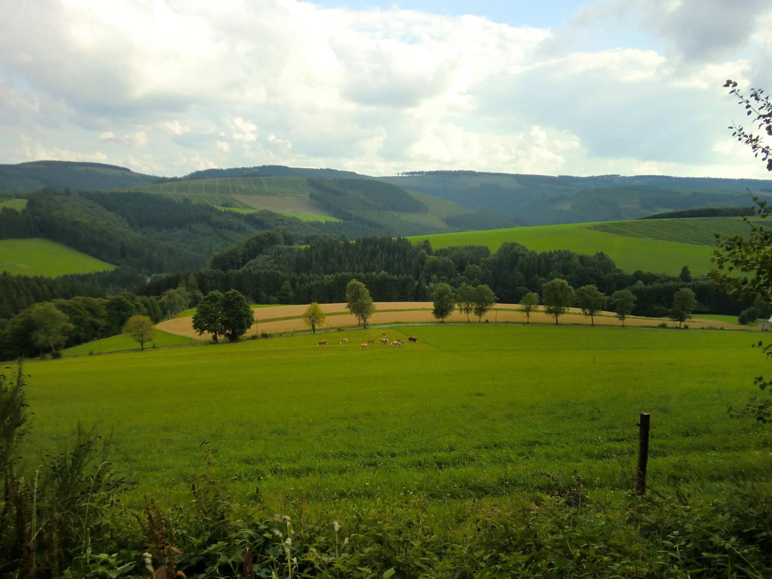 Natural landscape in Appartementen Edel