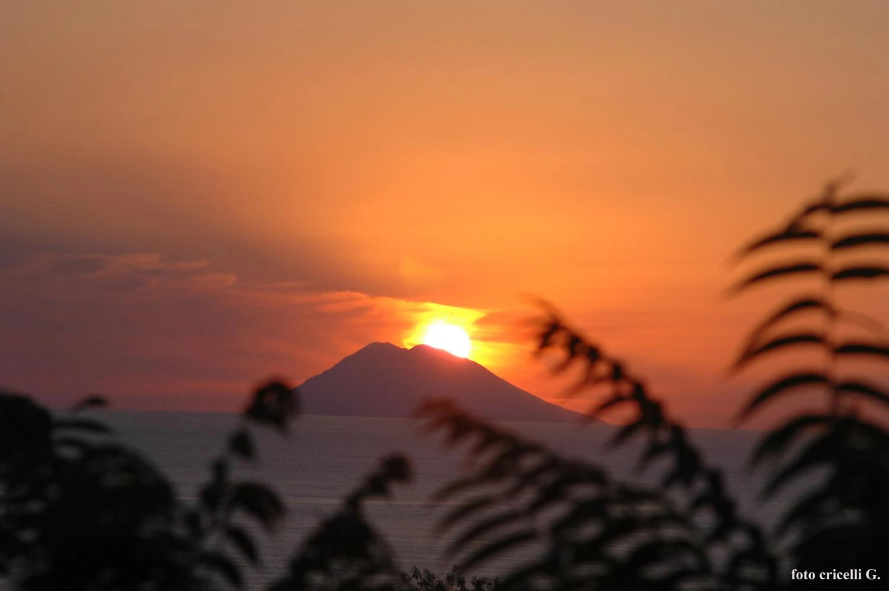 Area and facilities in Rosy Hotel Residence