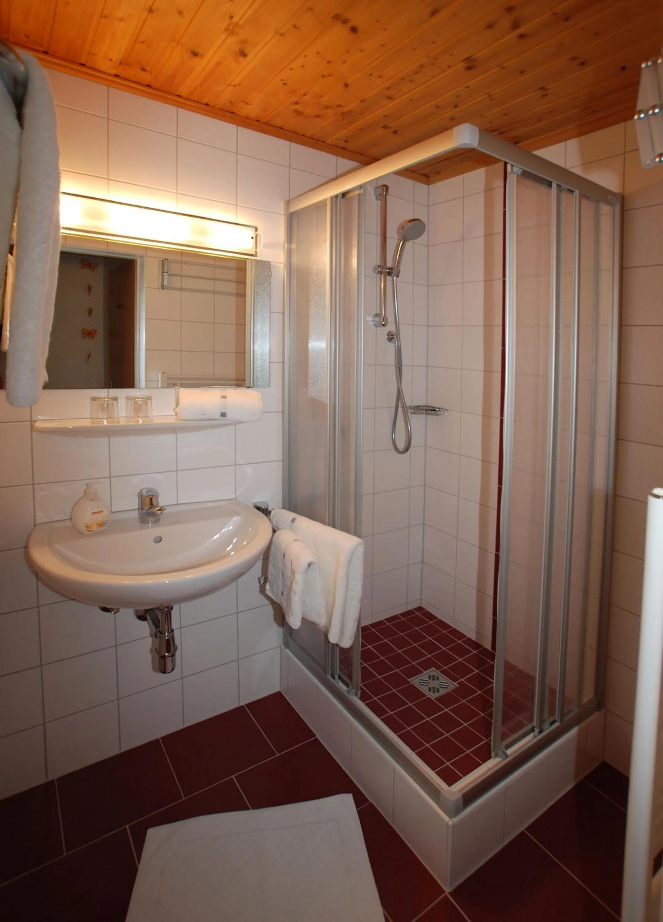 Shower in Landhaus Schwaighofer Dachstein West