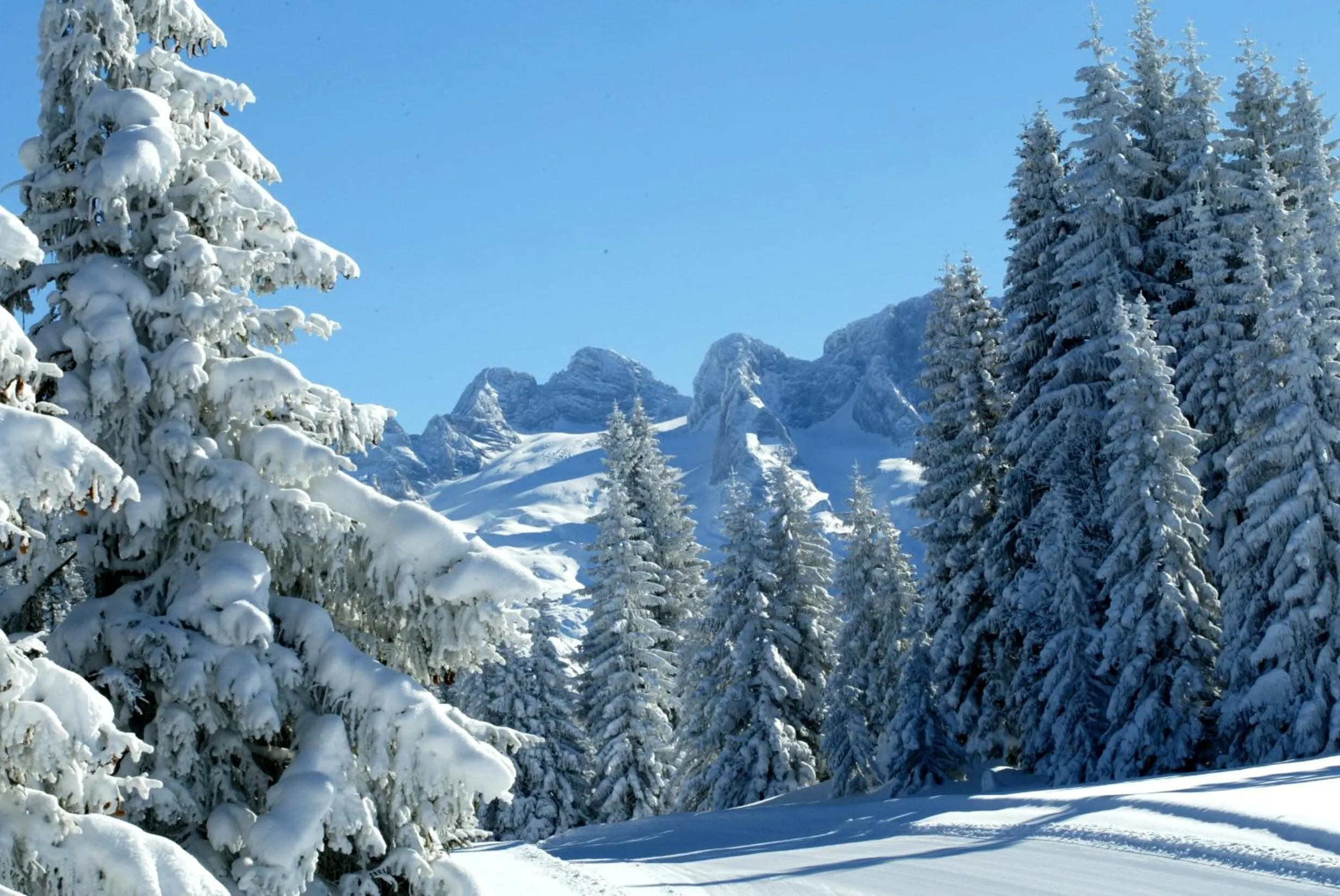 Day in Landhaus Schwaighofer Dachstein West