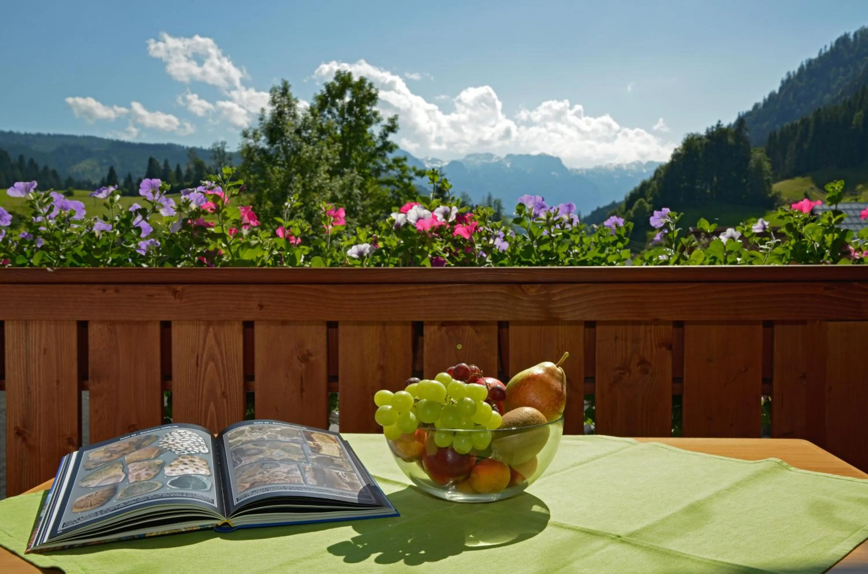 Balcony/Terrace in Landhaus Schwaighofer Dachstein West