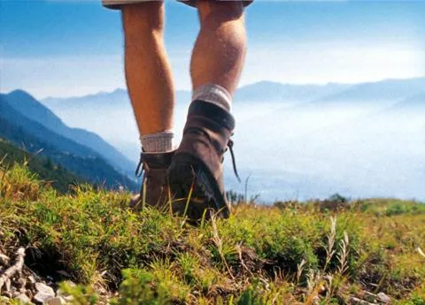 Hiking in Landhaus Schwaighofer Dachstein West