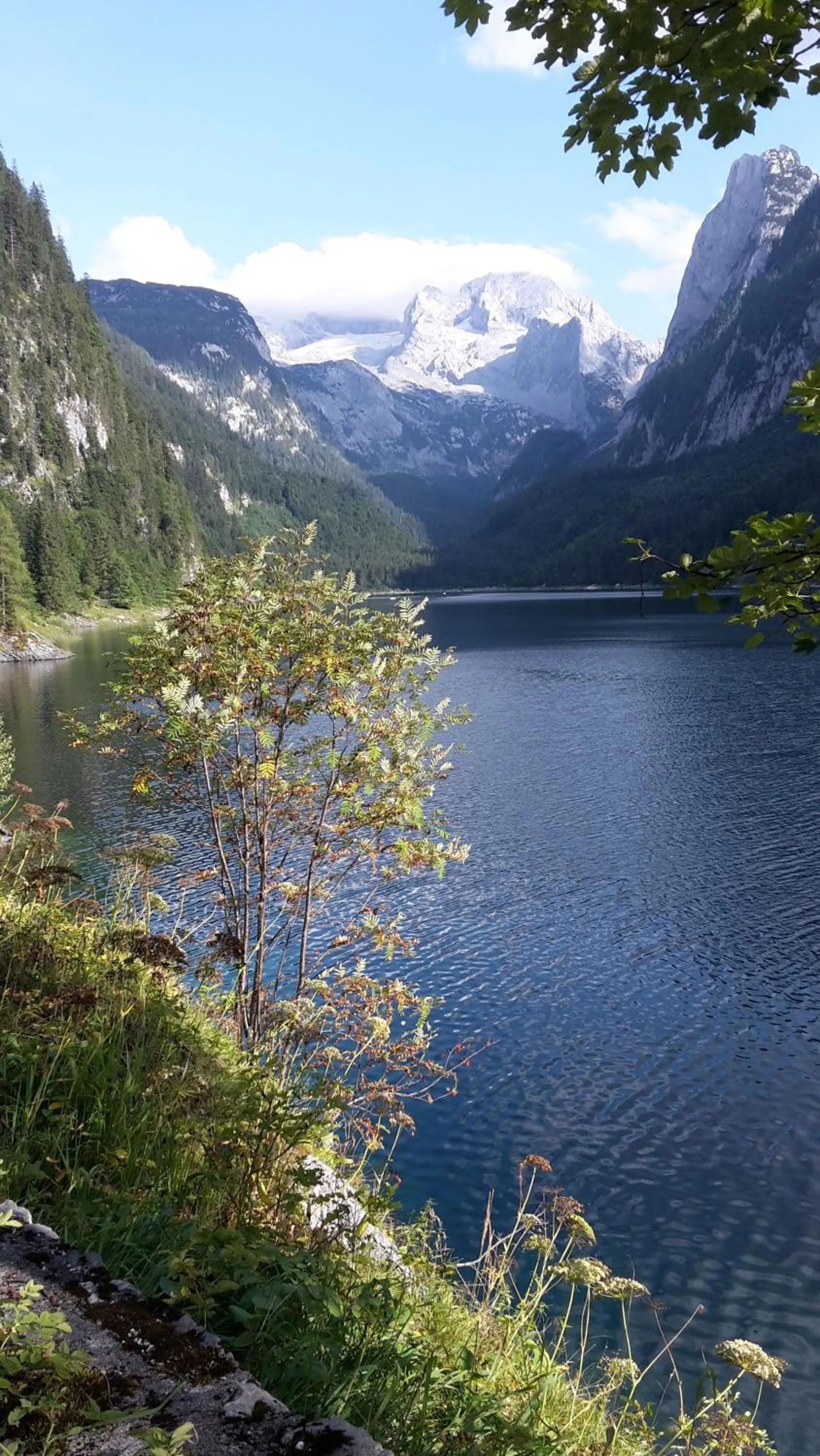Hiking in Landhaus Schwaighofer Dachstein West