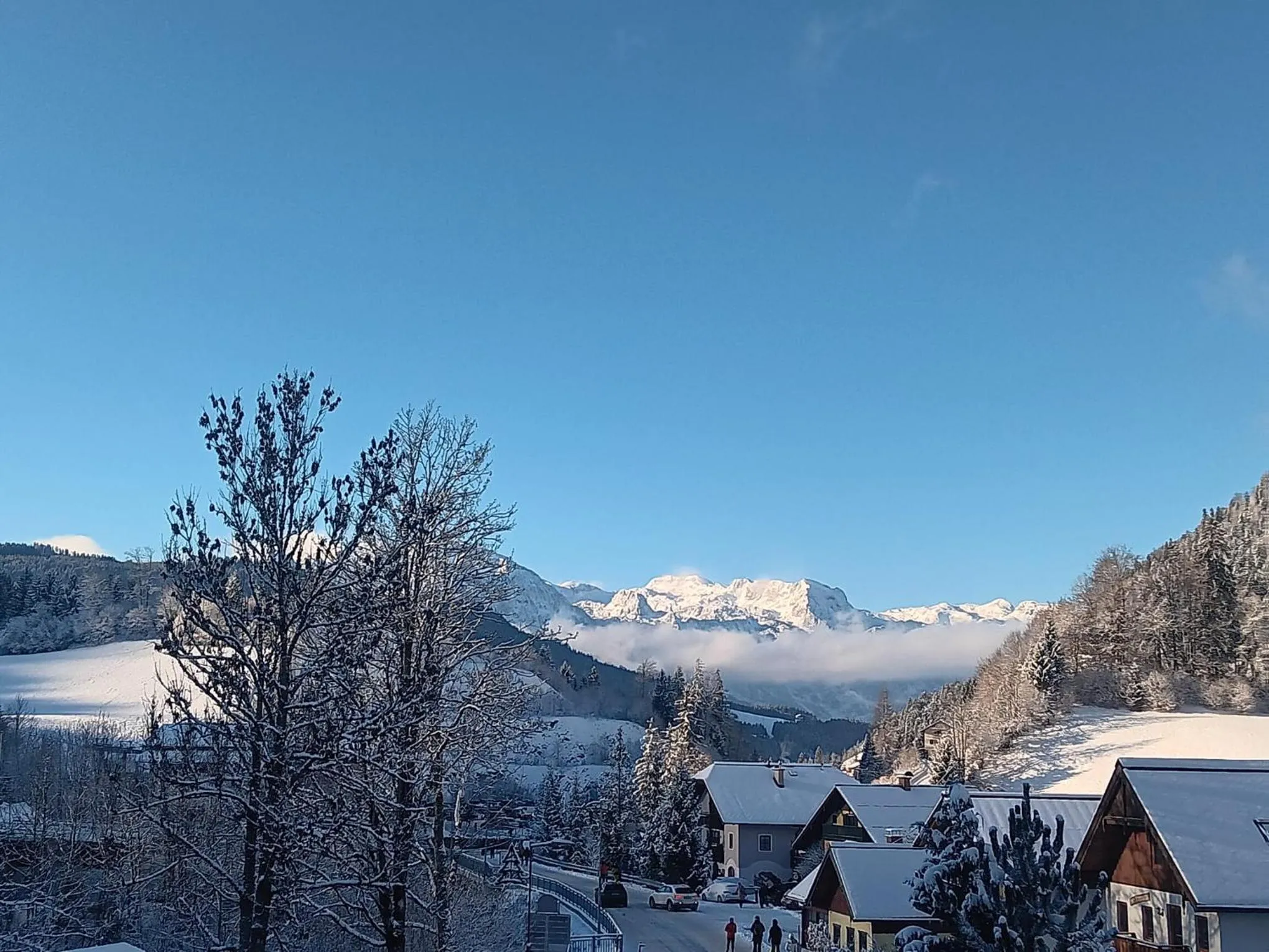 View (from property/room) in Landhaus Schwaighofer Dachstein West