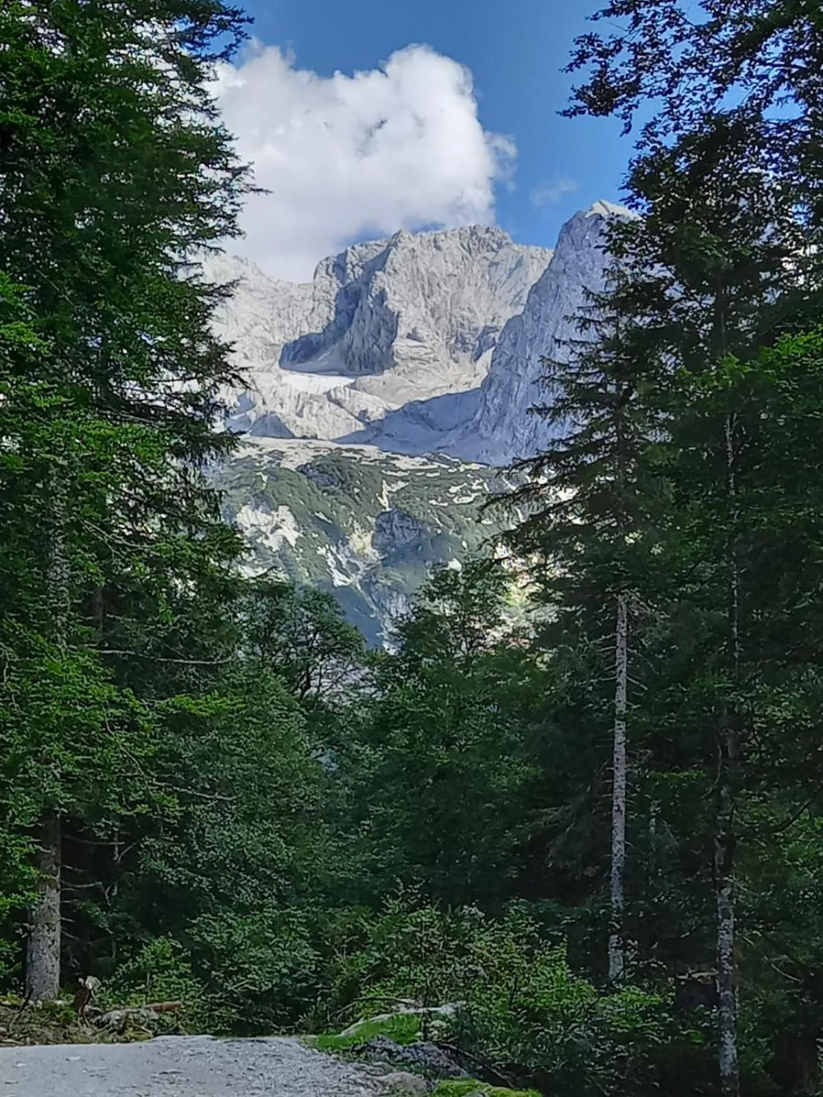 Landhaus Schwaighofer Dachstein West