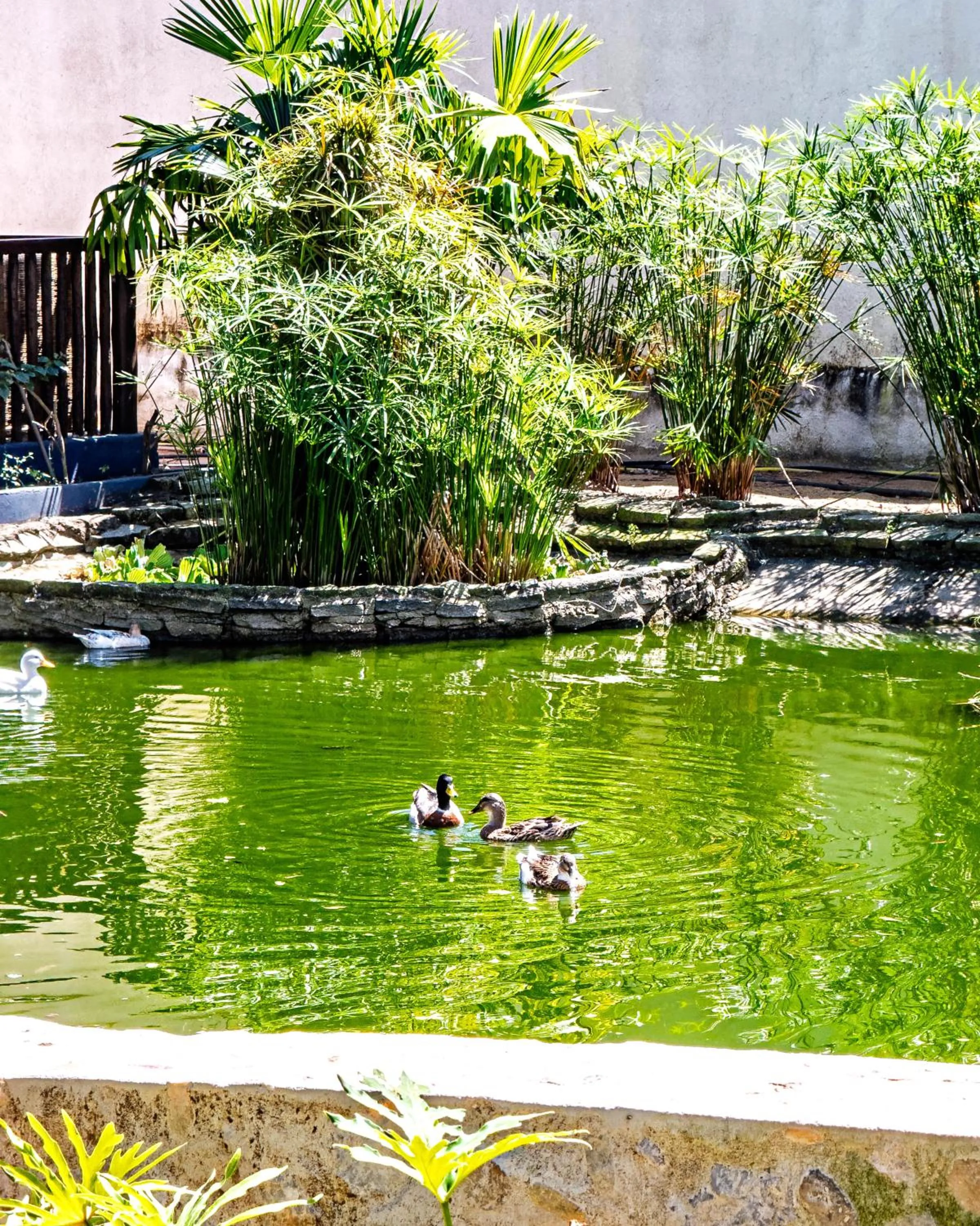 Hotel Espelho D'Água Arraial e Beach Club